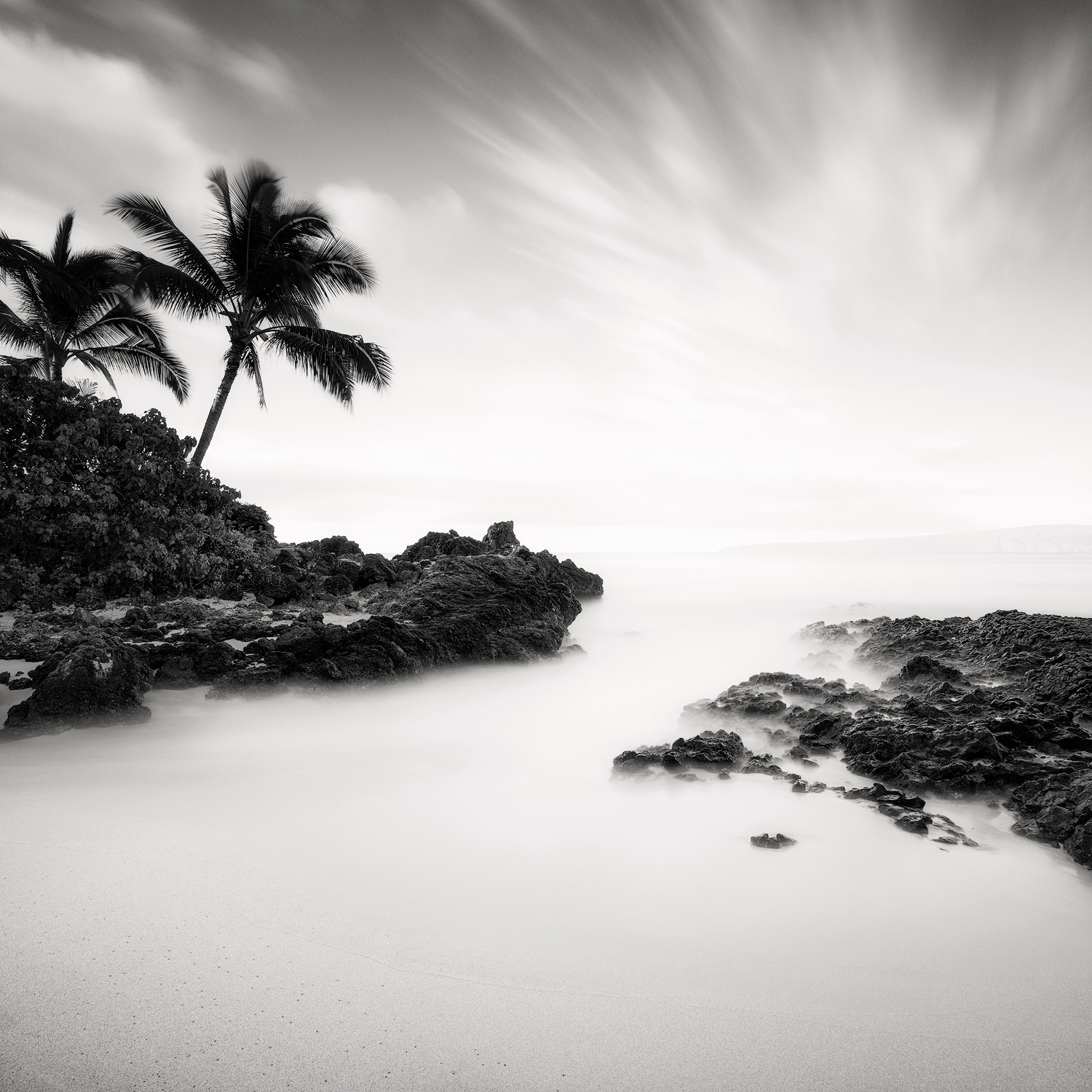 space-solitude-palm-tree-passing-clouds-smooth-waters.png