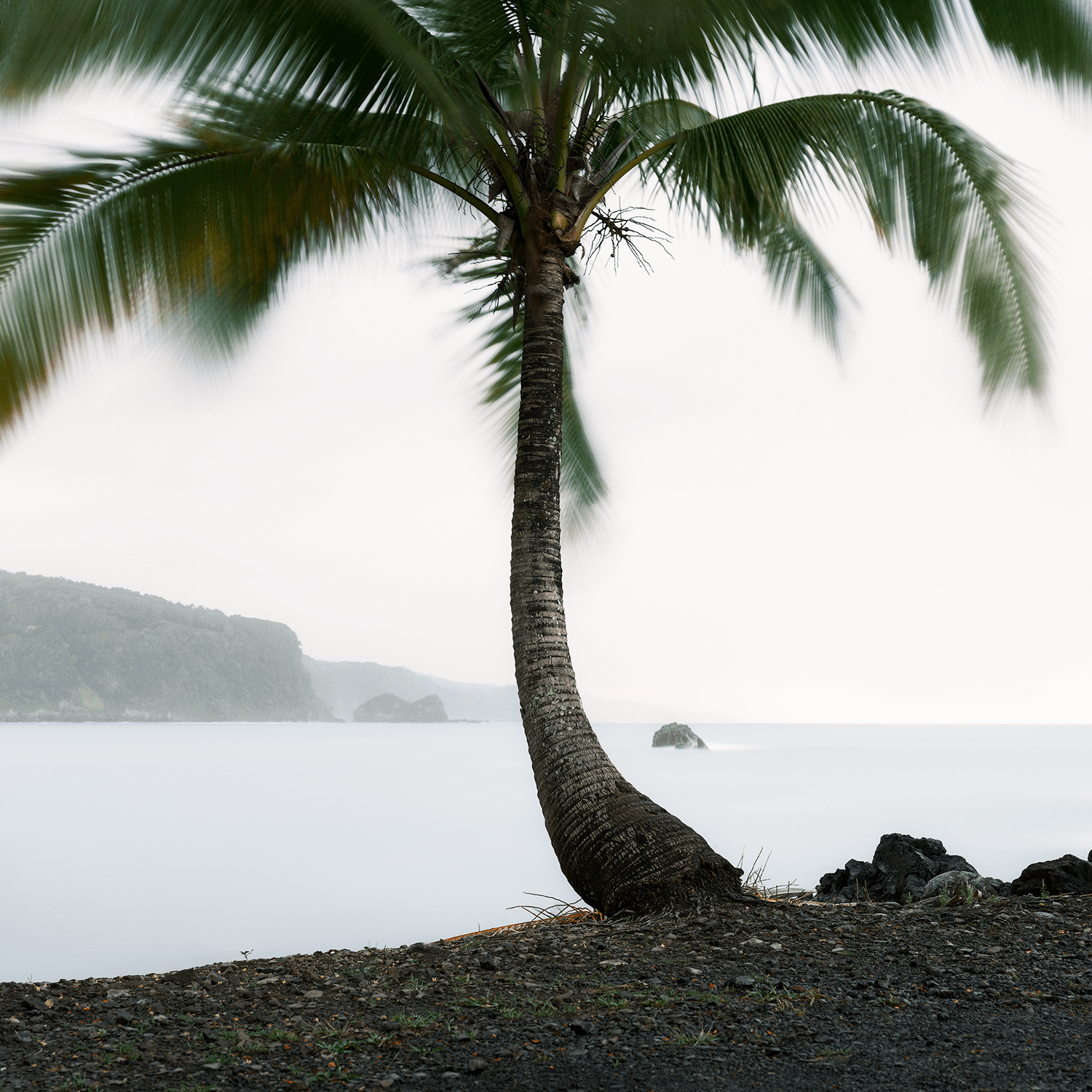 far-away-isle-blurred-palm-soft-waters.png