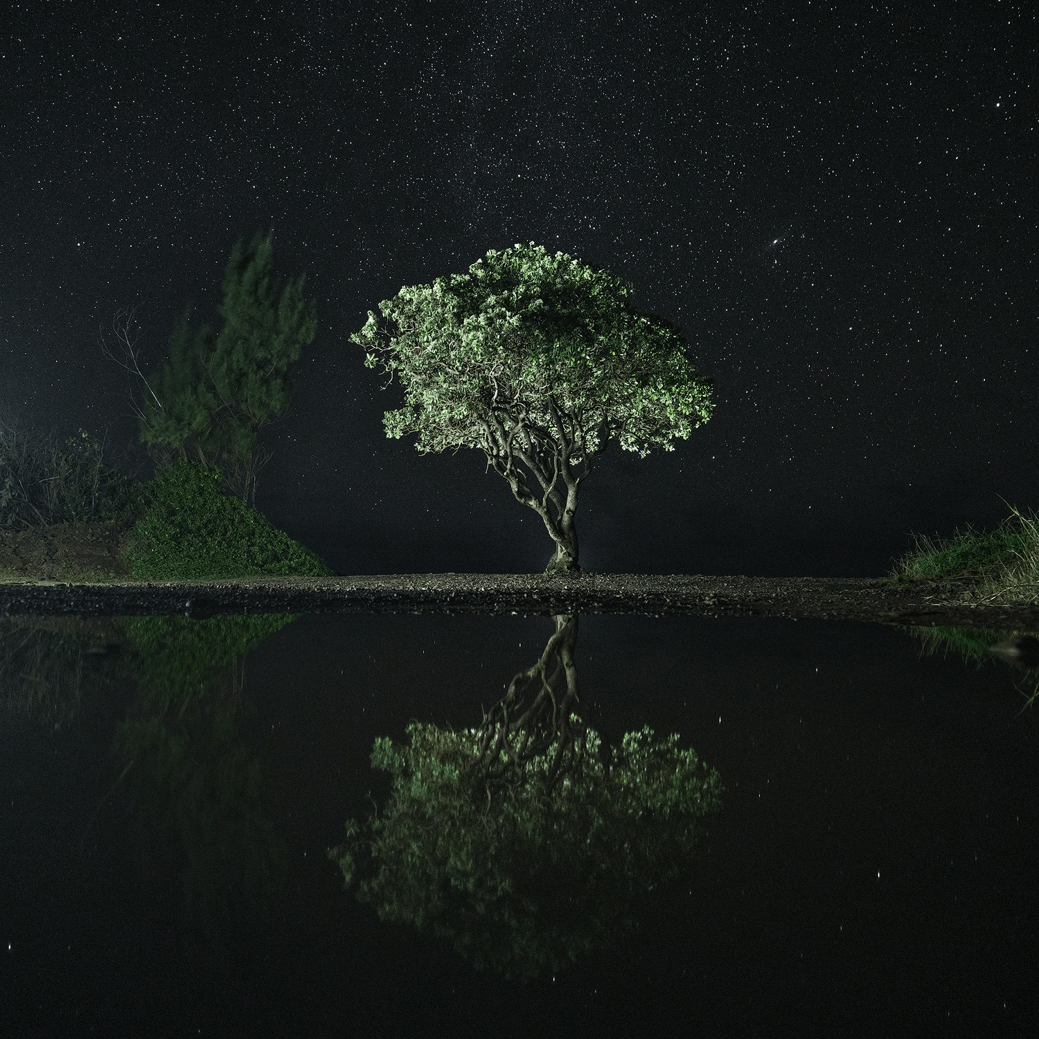 far-away-isle-lit-tree-starry-sky.png