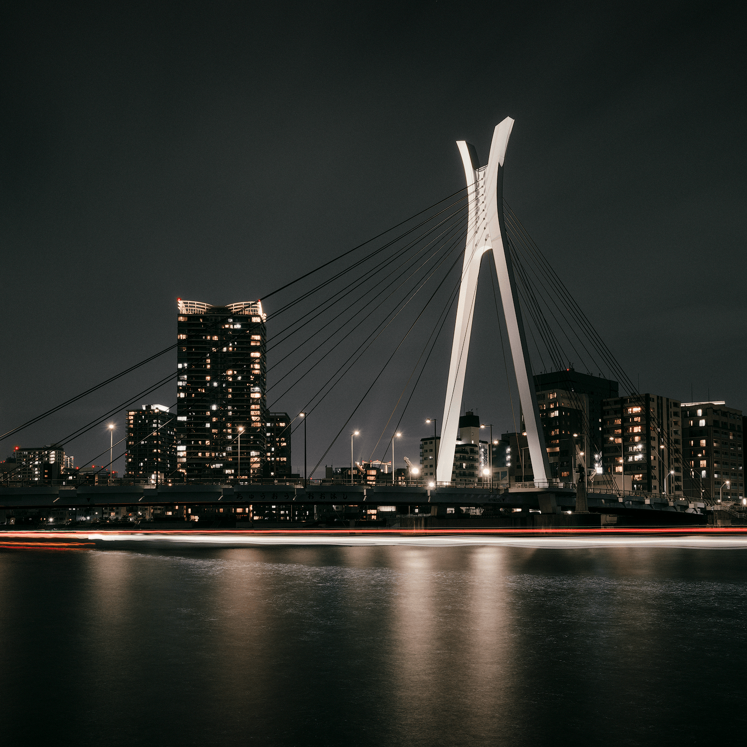 metropolis-tokyo-sumida-river-night-bridge.png