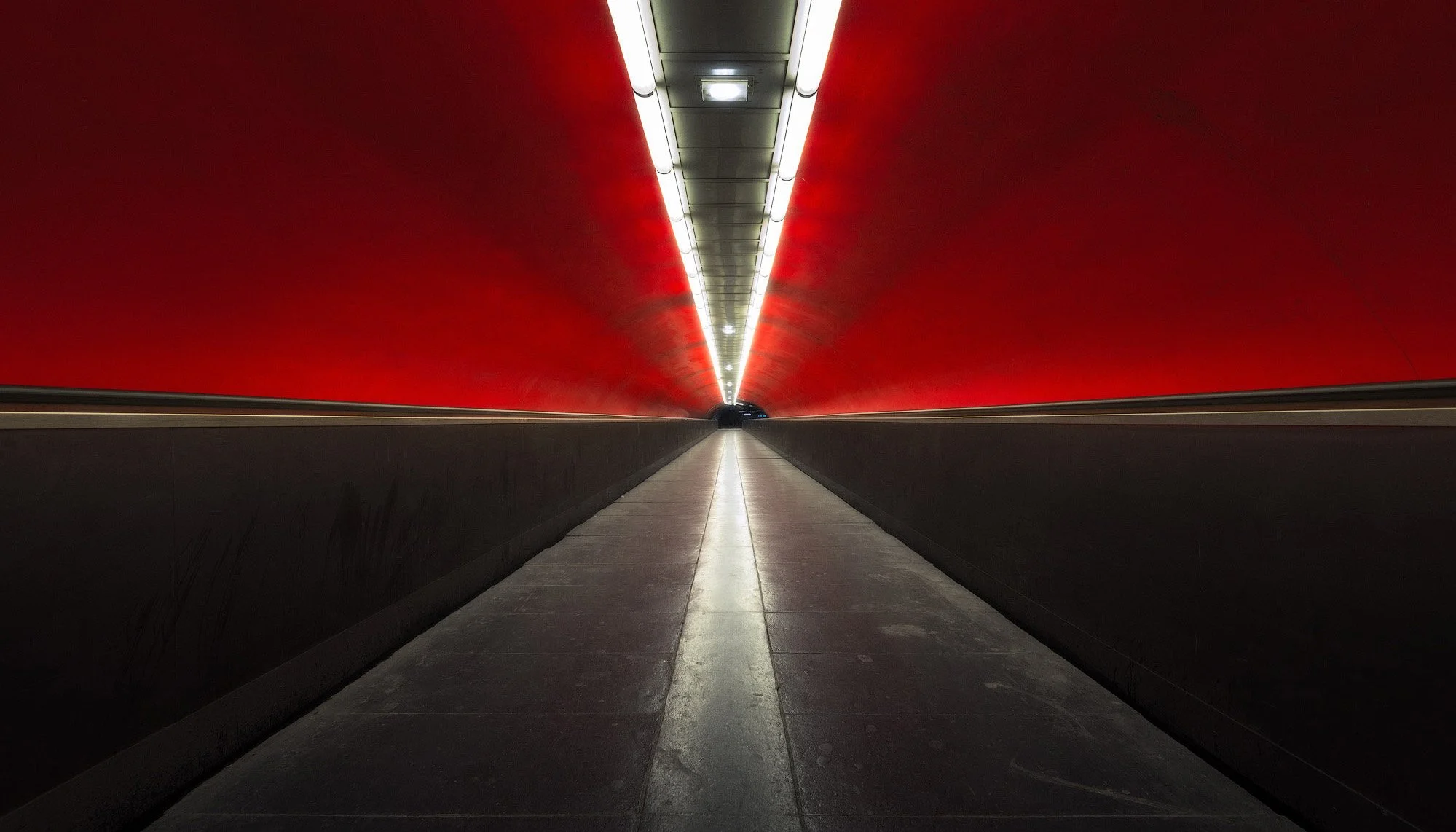 UNDER PARIS.2000PX-GR_CROP.jpg