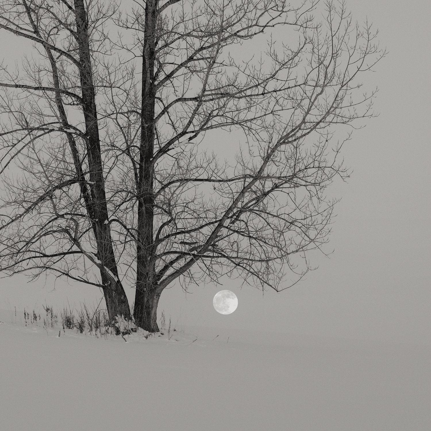THE MOON CANNOT BE STOLEN