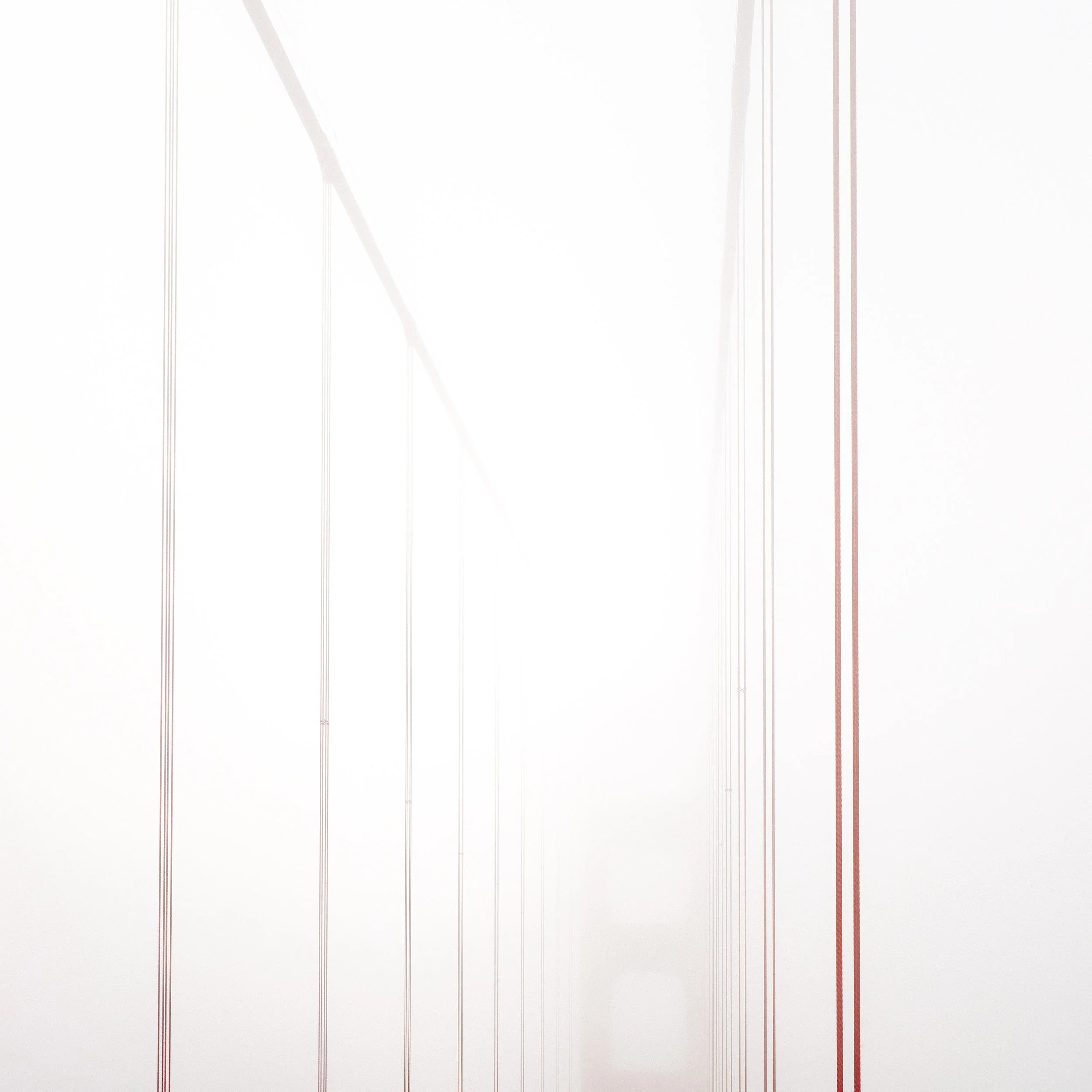 WIRED-TO-NOTHING.2500PX-GR.jpg