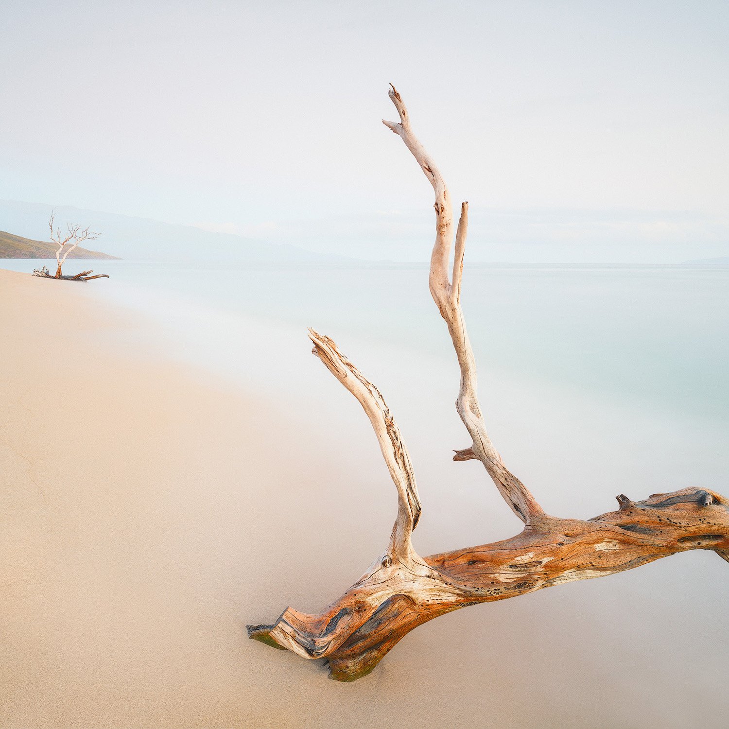 FROM FORM TO FORMLESSNESS