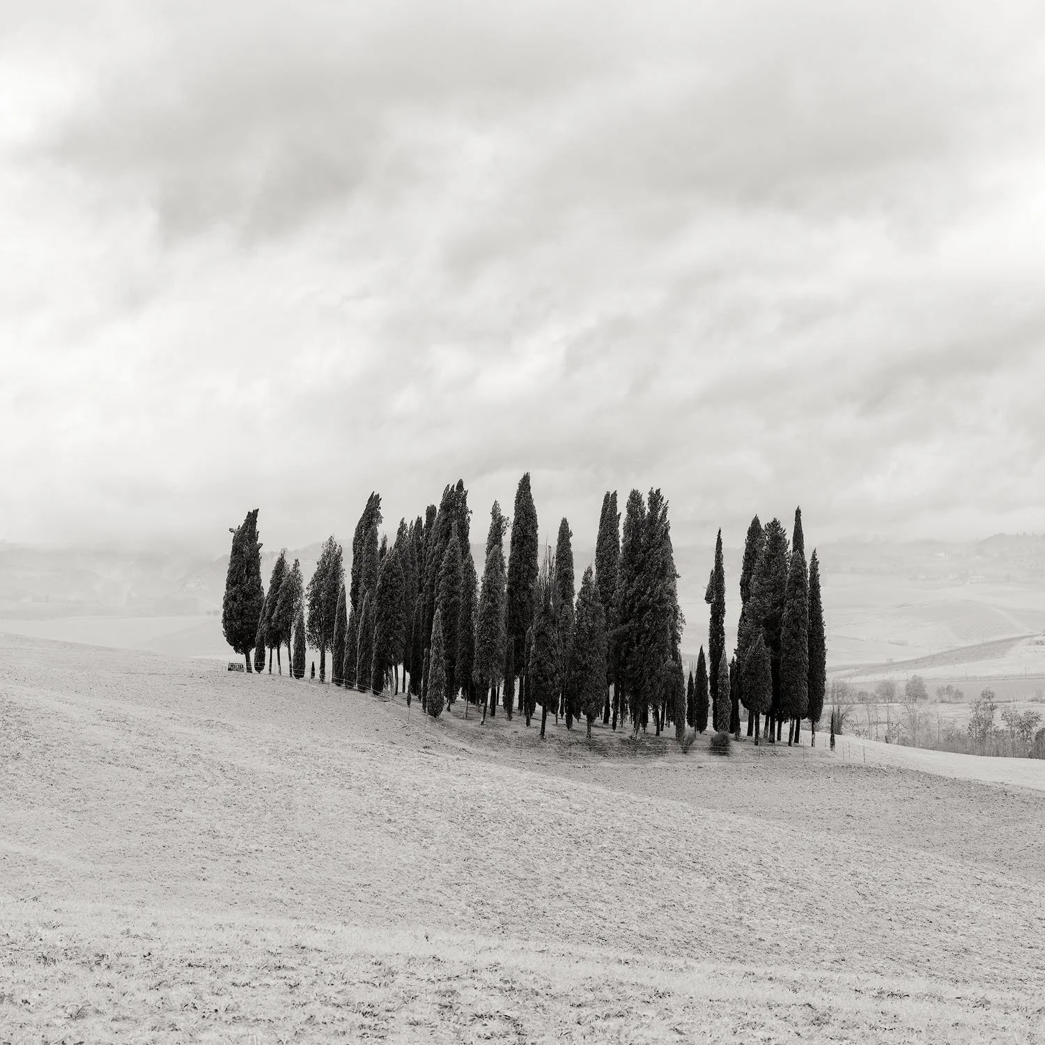 GUARDIANS OF GRACE.1500PX.jpg