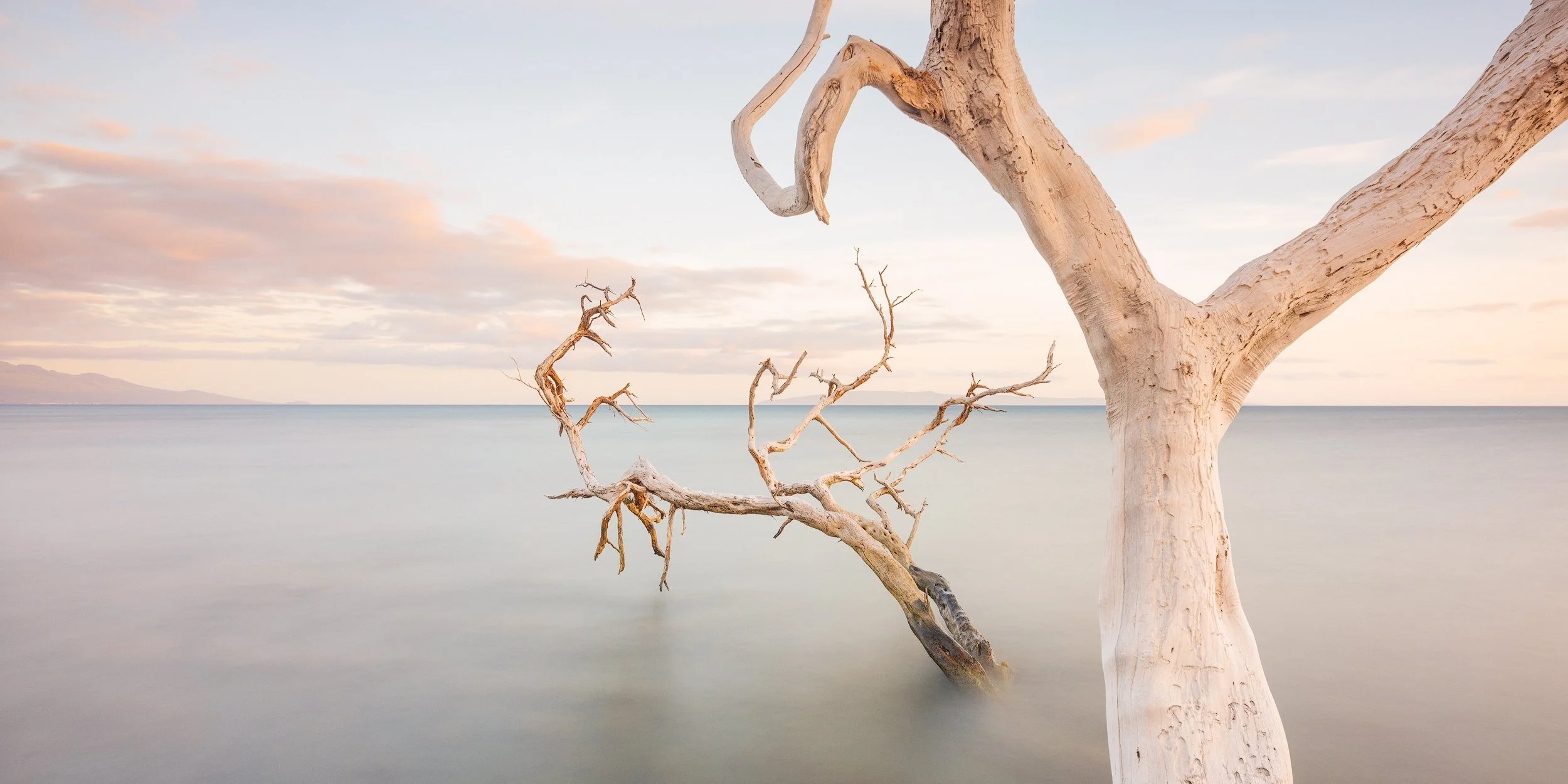 THE END OF SUFFERING