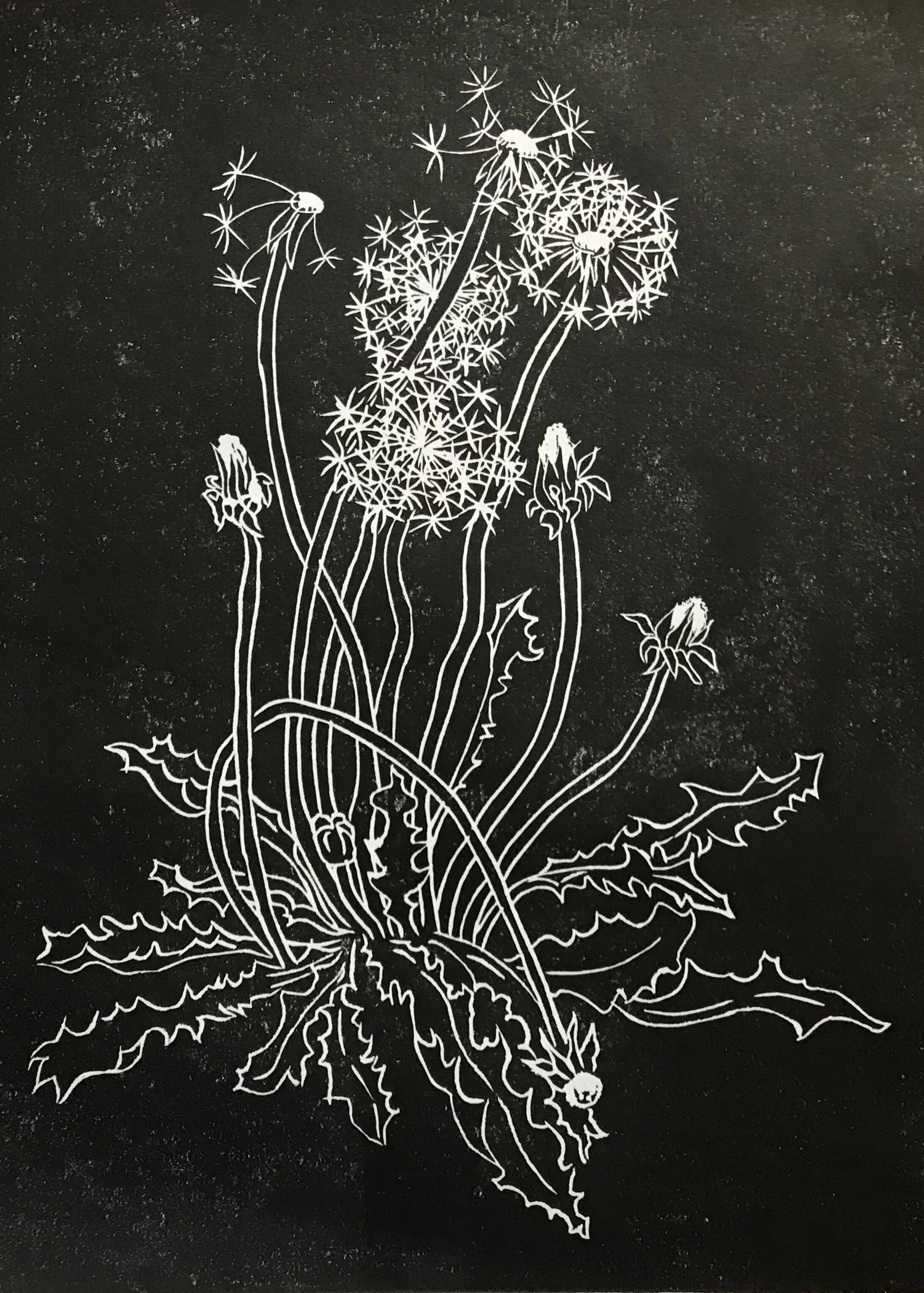 dandilion print.jpg