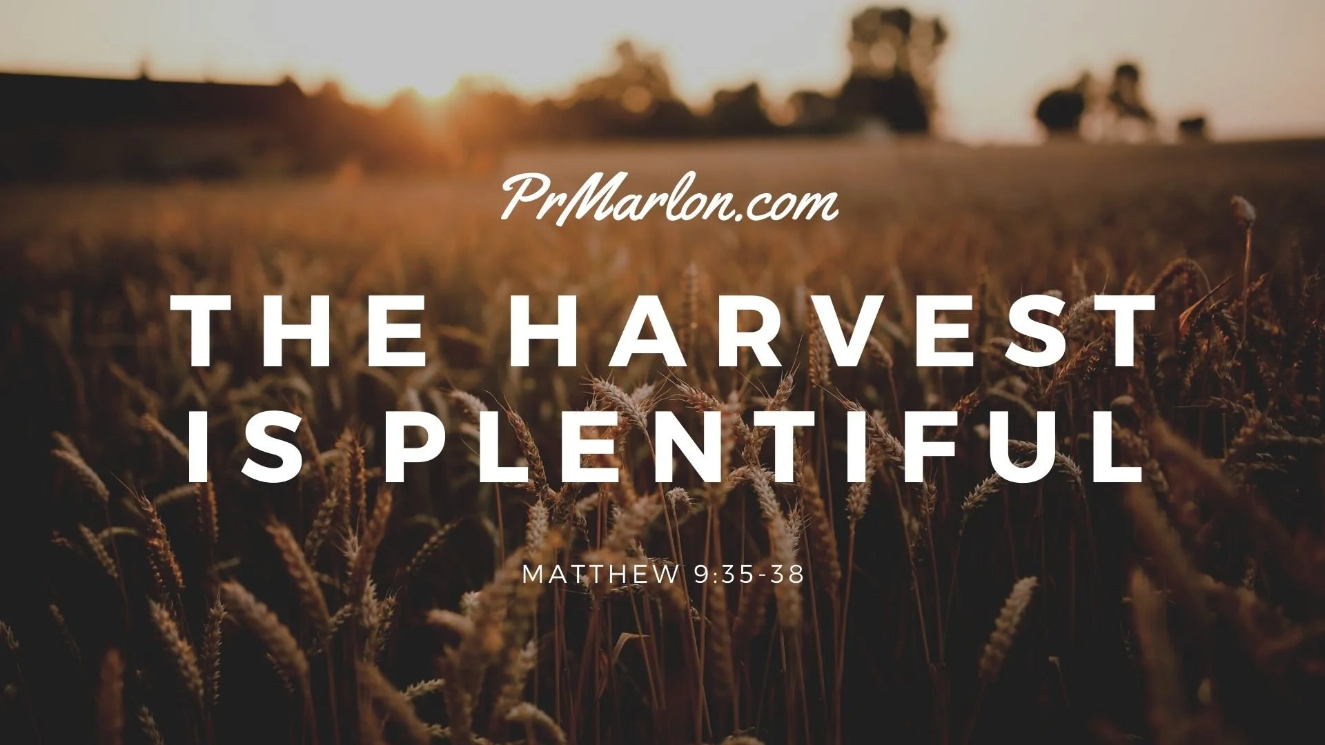 The Harvest is Plentiful