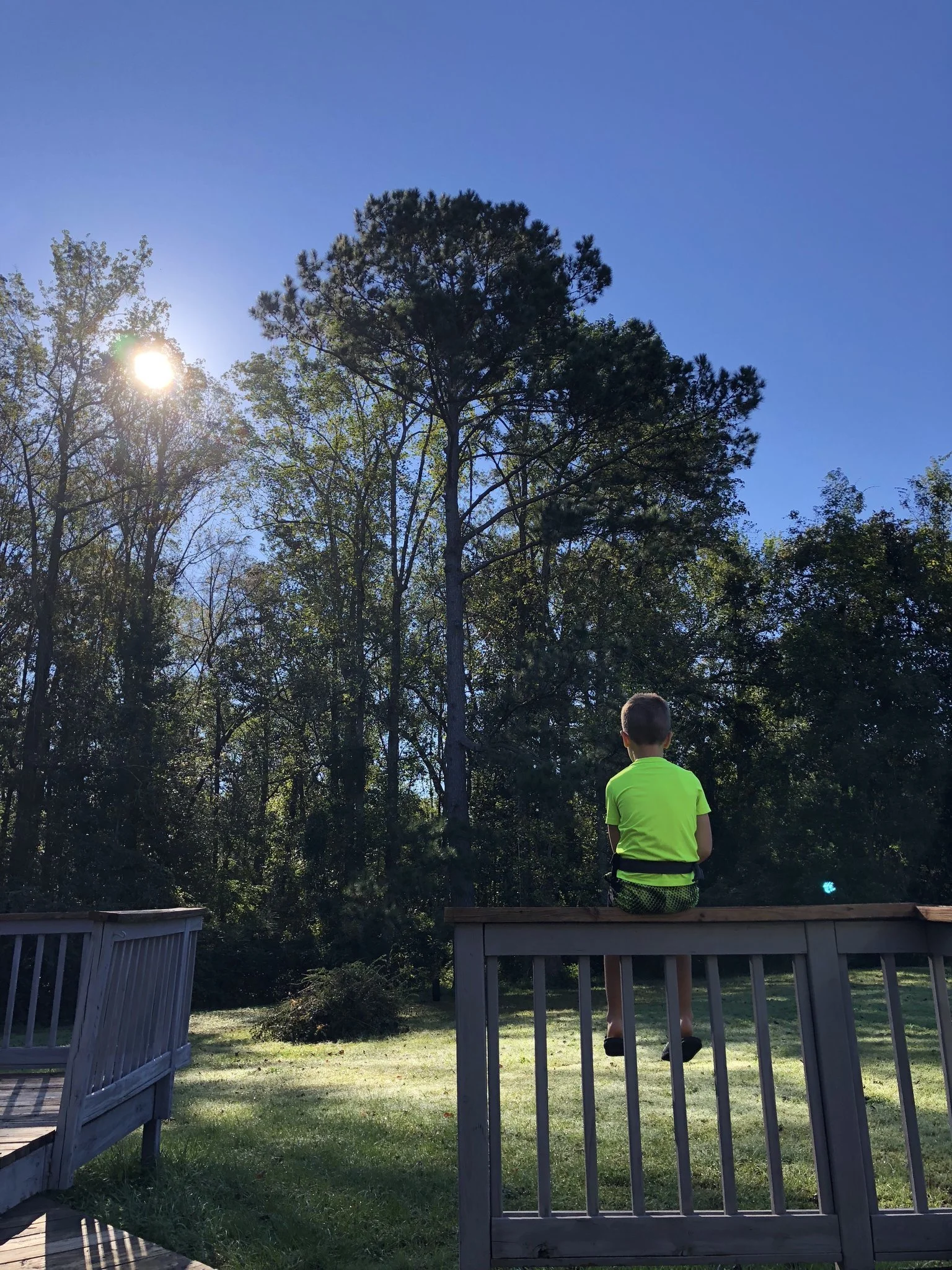 our backyard in South Georgia