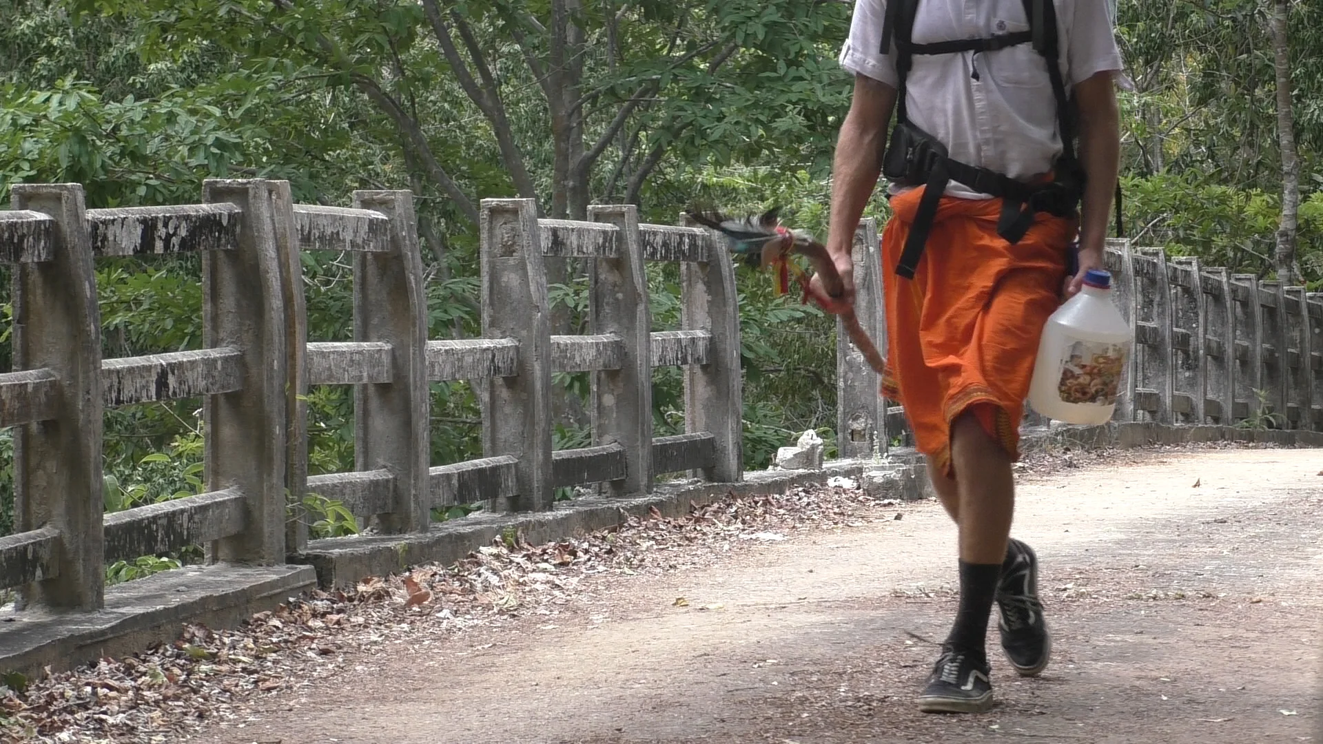 walk.jpg