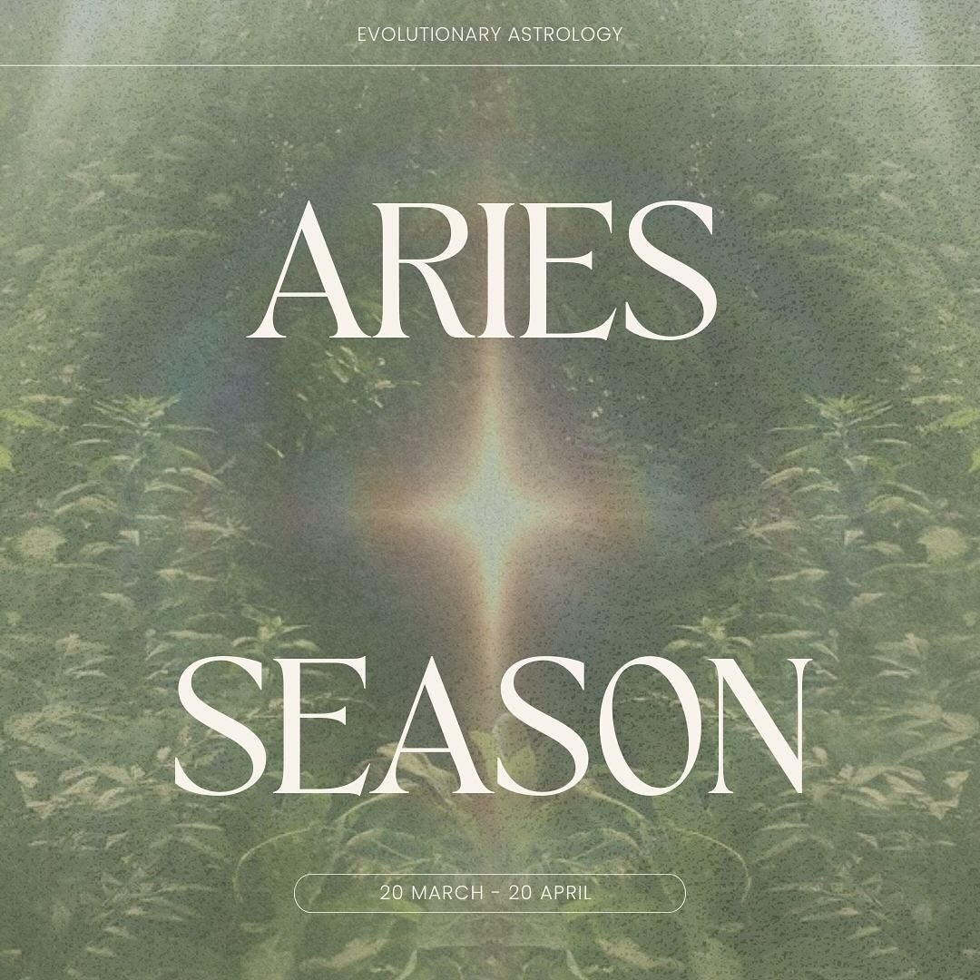 The astrological new year begins in two days! when the sun enters aries. a little aries clan transmission and contemplation for u 🤲🏼 also only 2 days before we gather online for the first session of THE ARCHETYPAL JOURNEY 🌀 my guided, online group