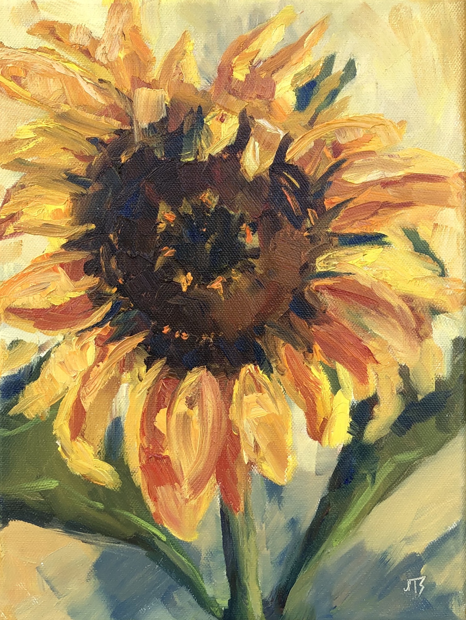 Sunburst