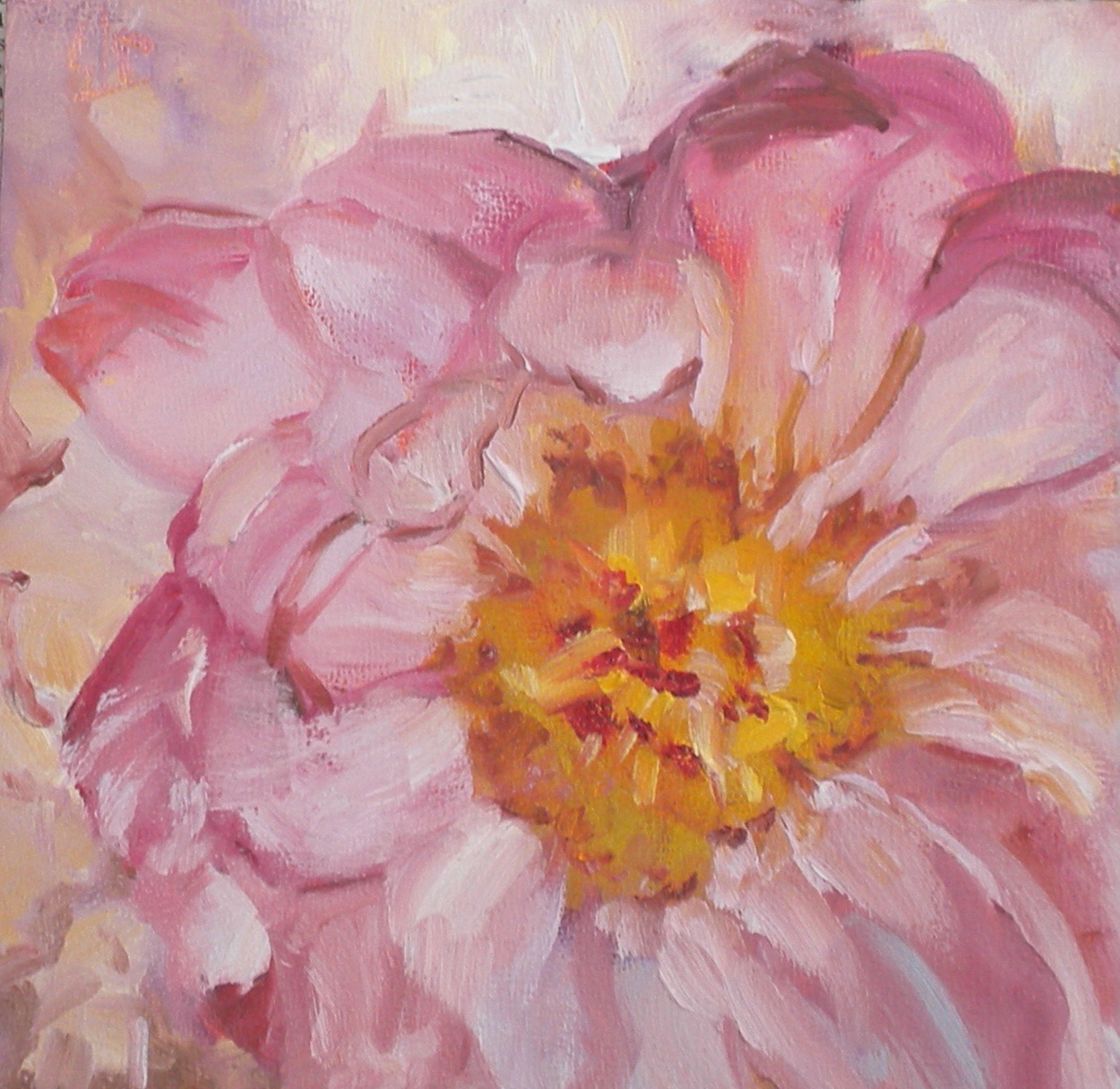 Peony Memories
