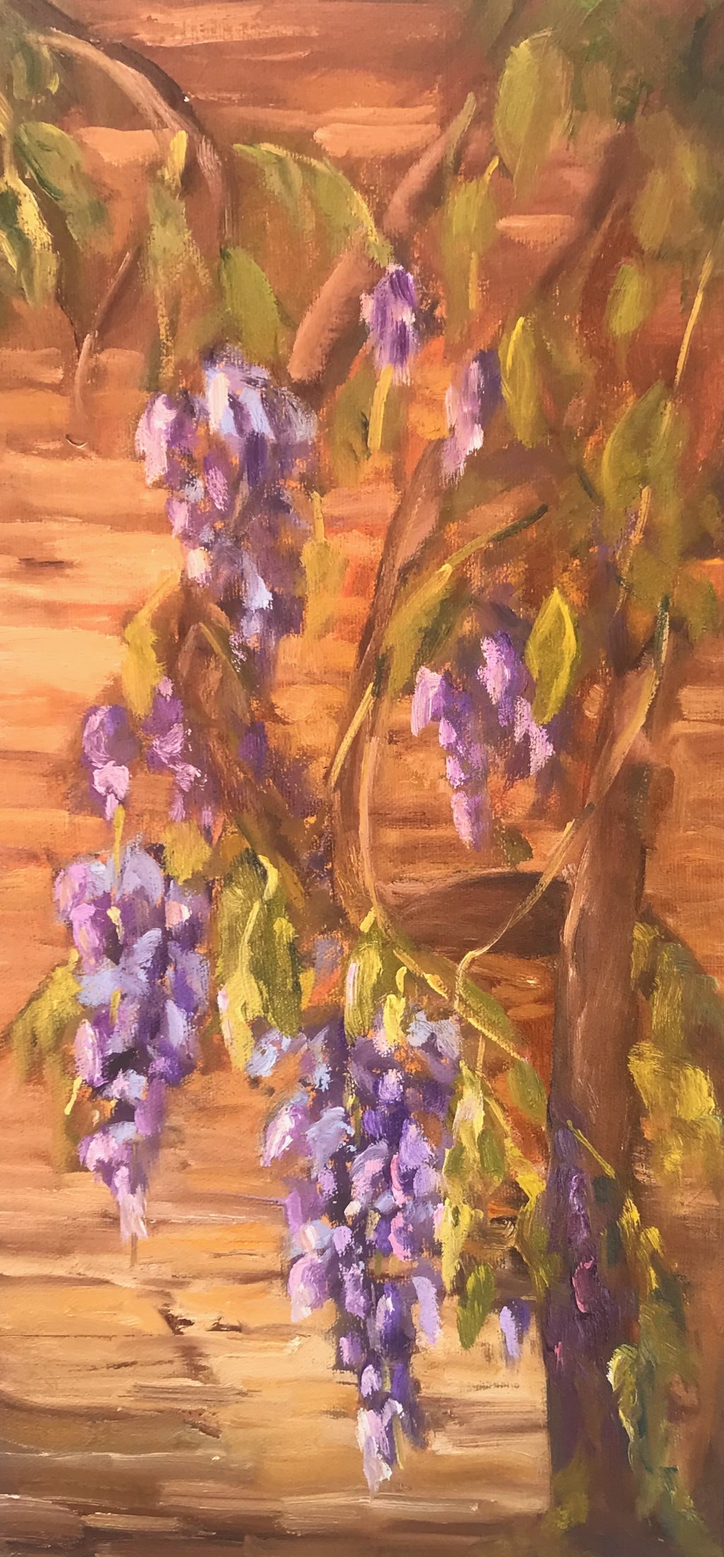 Rock Wisteria