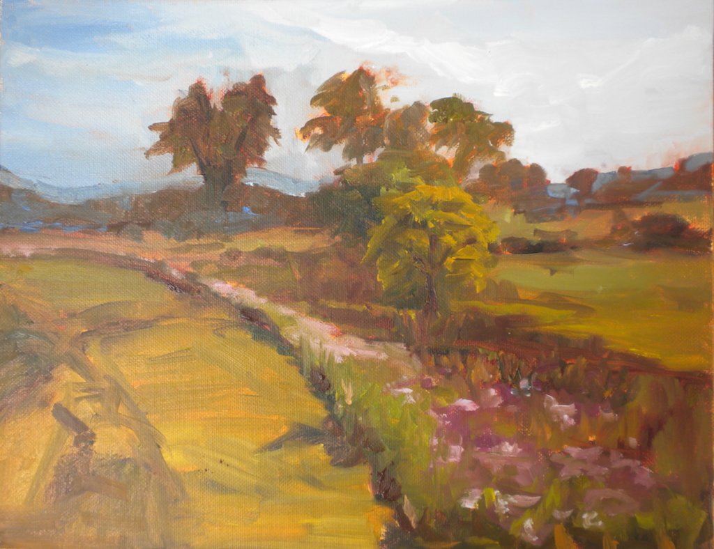 Tammys Berm