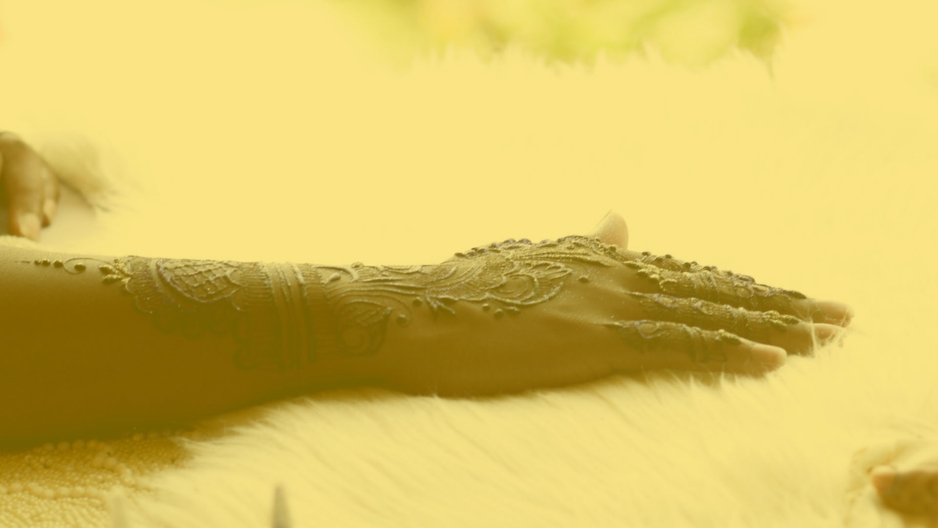 Untitled design (49).png