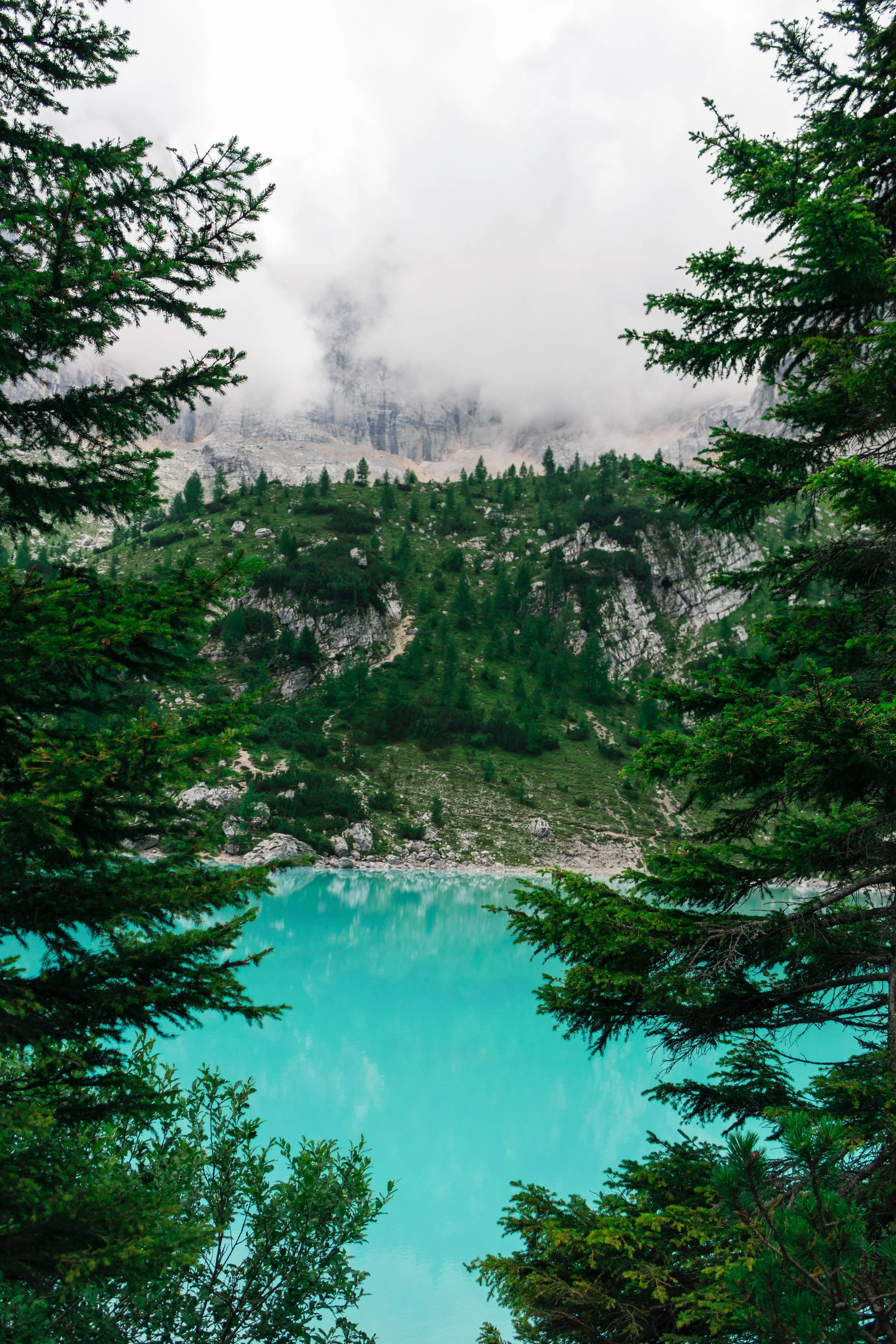 henry-be-341670-unsplash.jpg