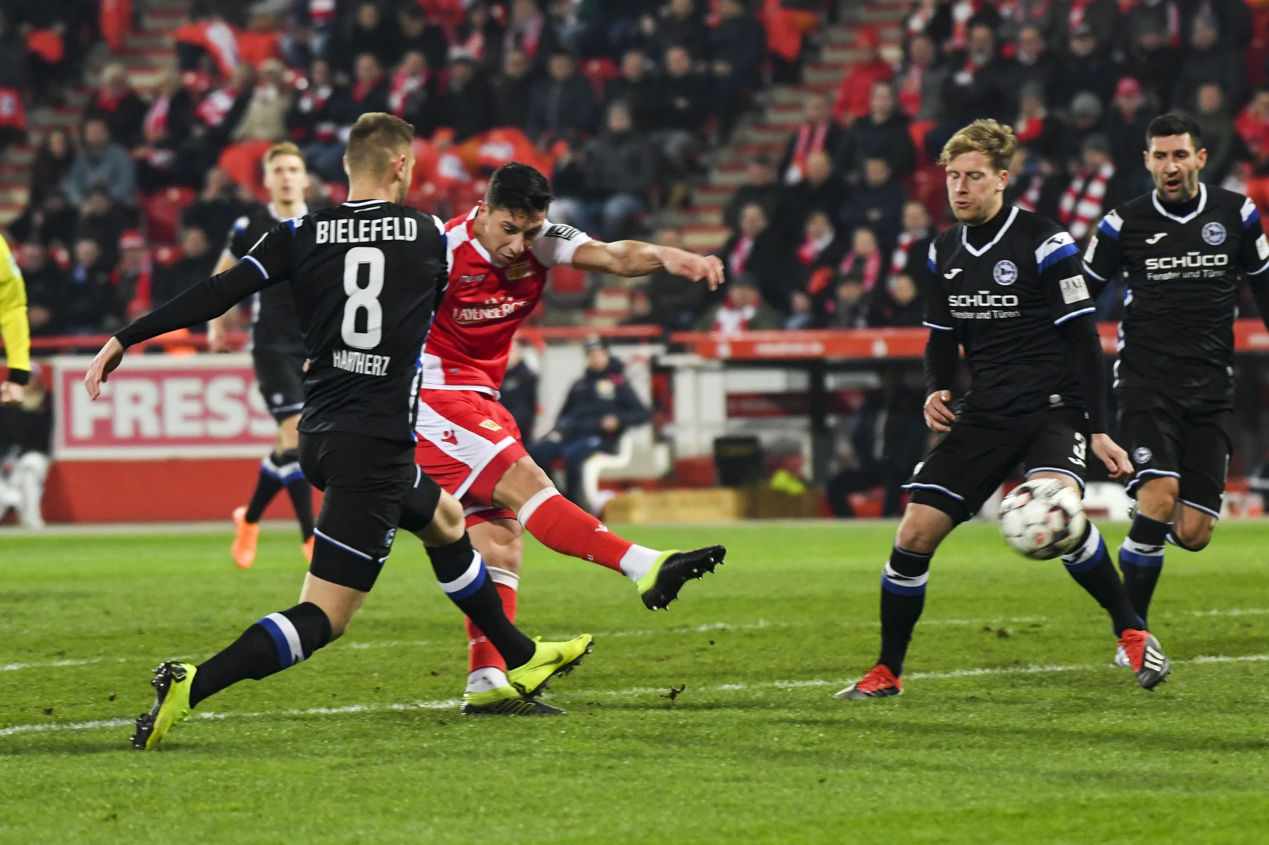 190217ALBUNIARM014.JPG