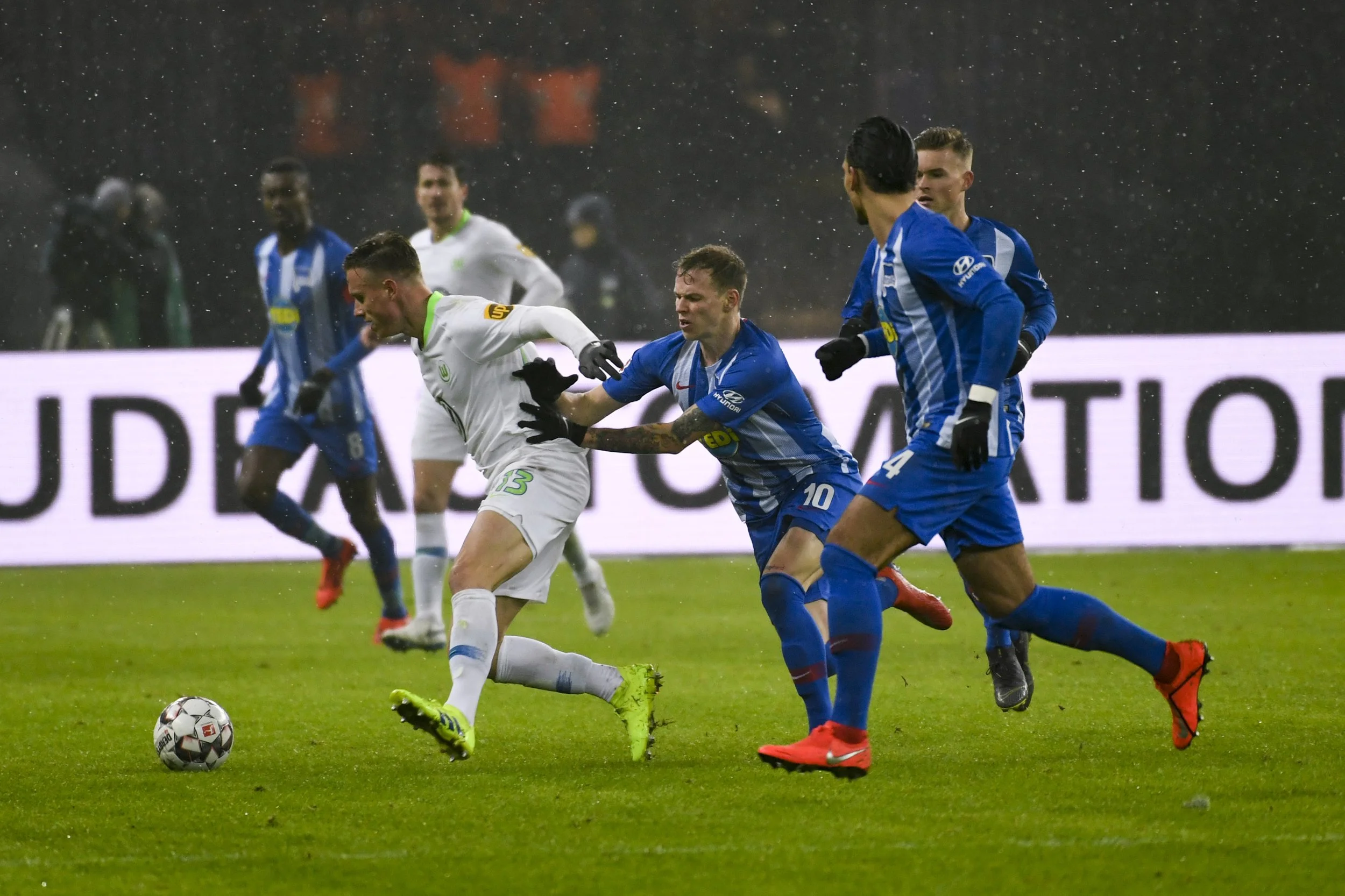 190202ALBHERWOL037.JPG