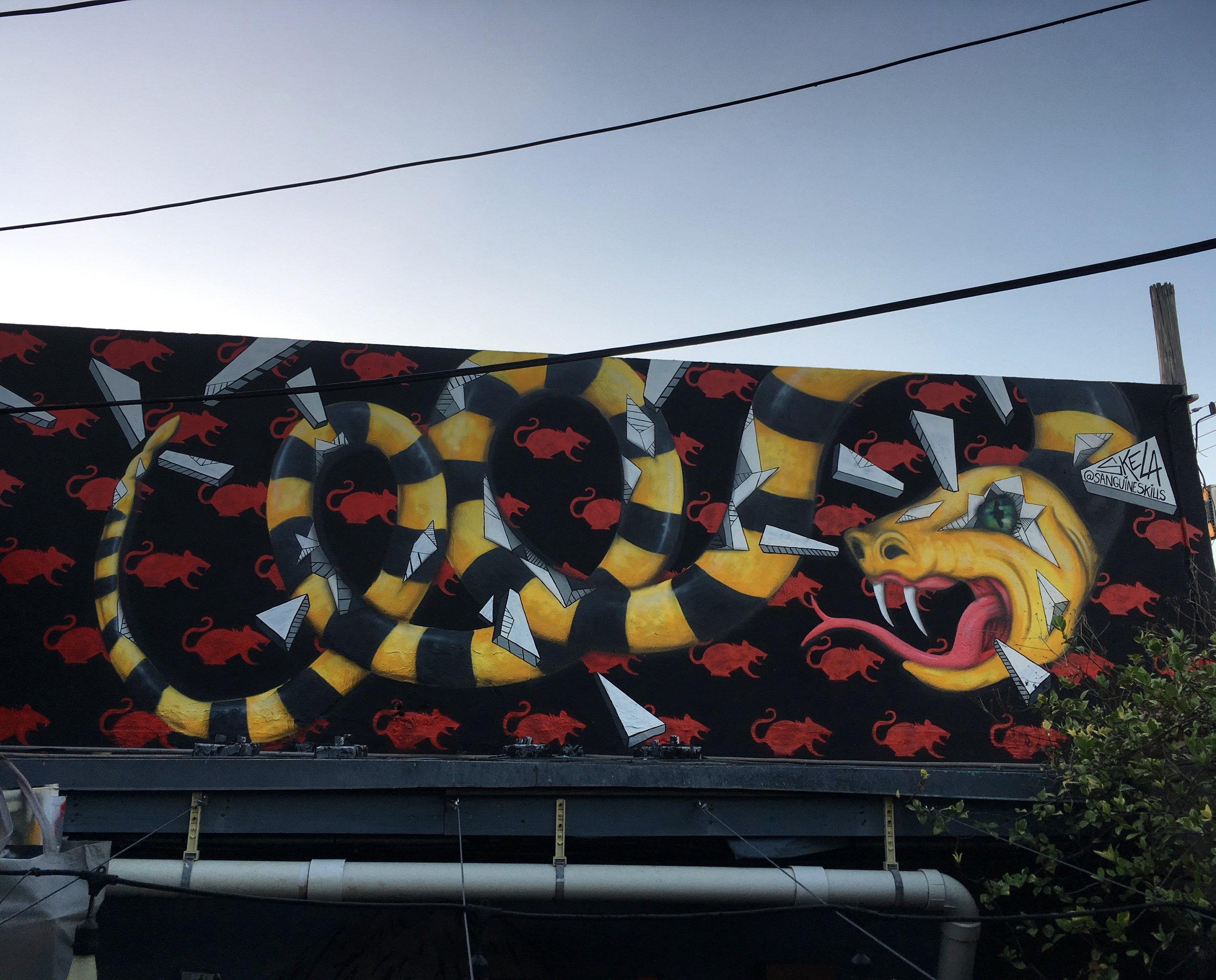 Caution Snake