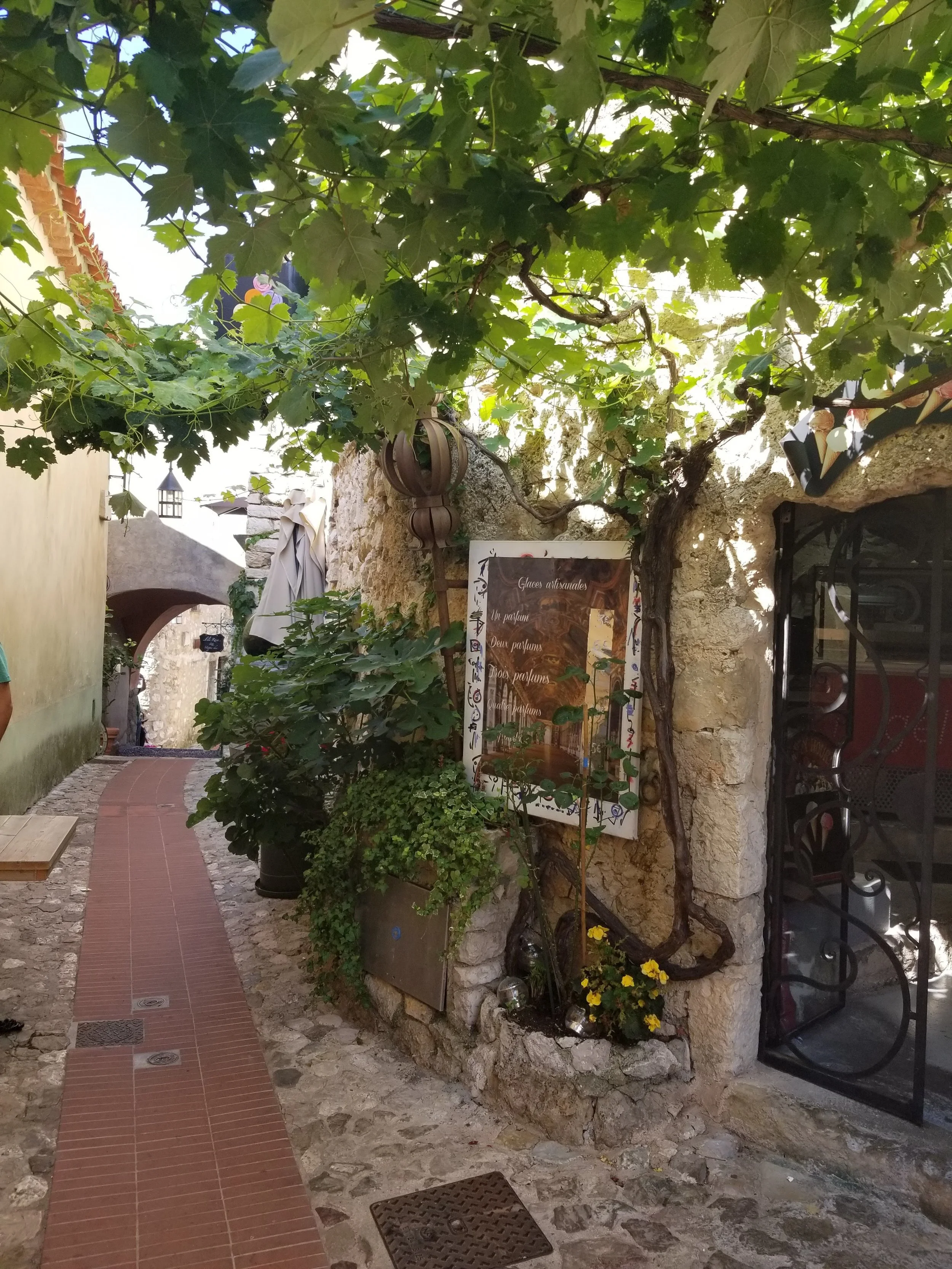 Brar5_village of eze.jpg
