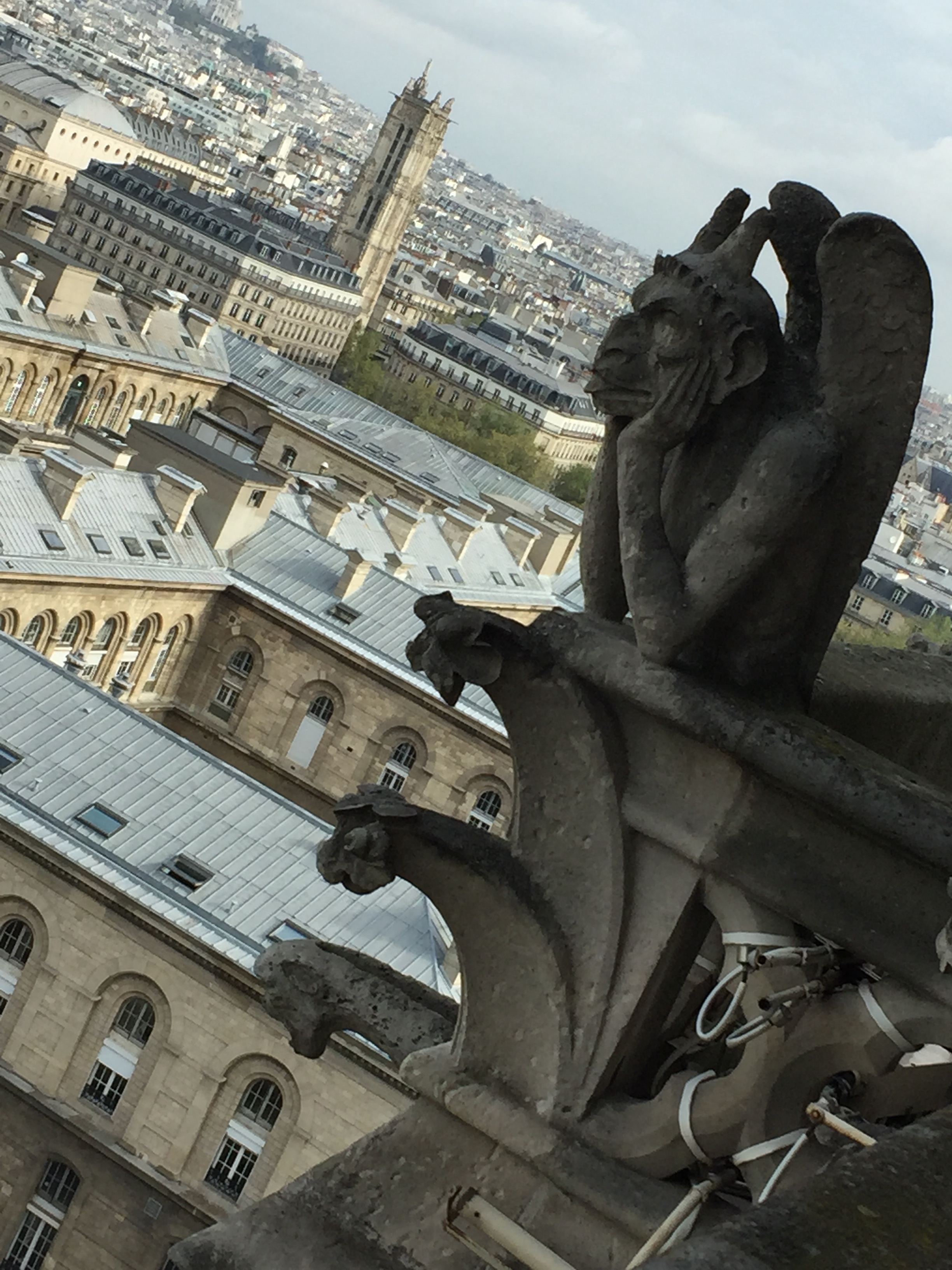 Marek1_Une gargouille a Notre Dame, Paris.jpeg