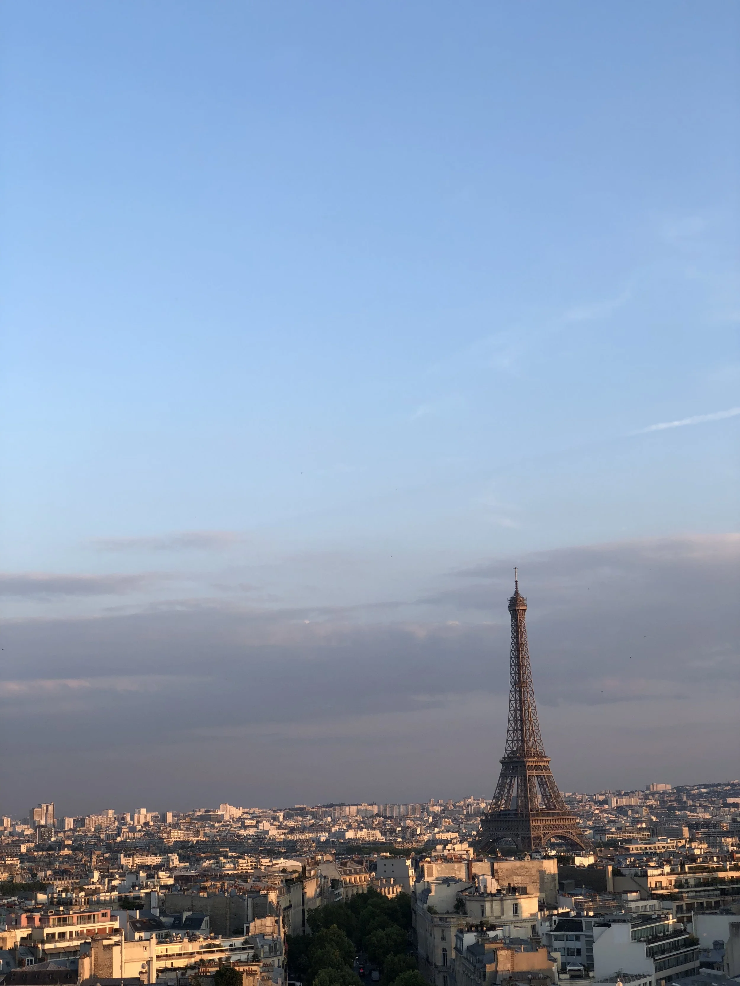 Pleasant4_top of arc de triomph view.jpeg