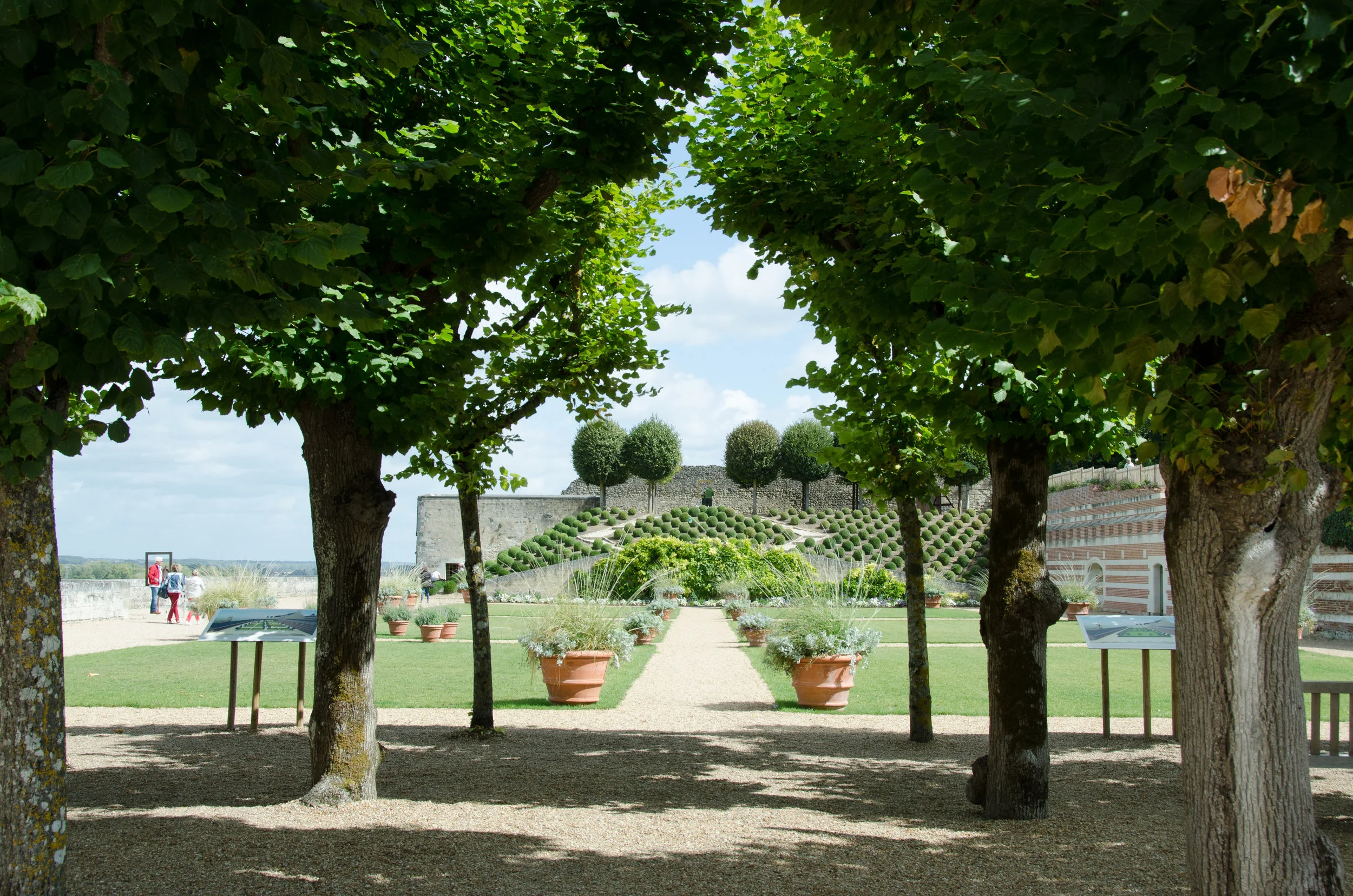 Worland2_Jardin du Chateau d_Amboise Centre-Val de Loire.jpg