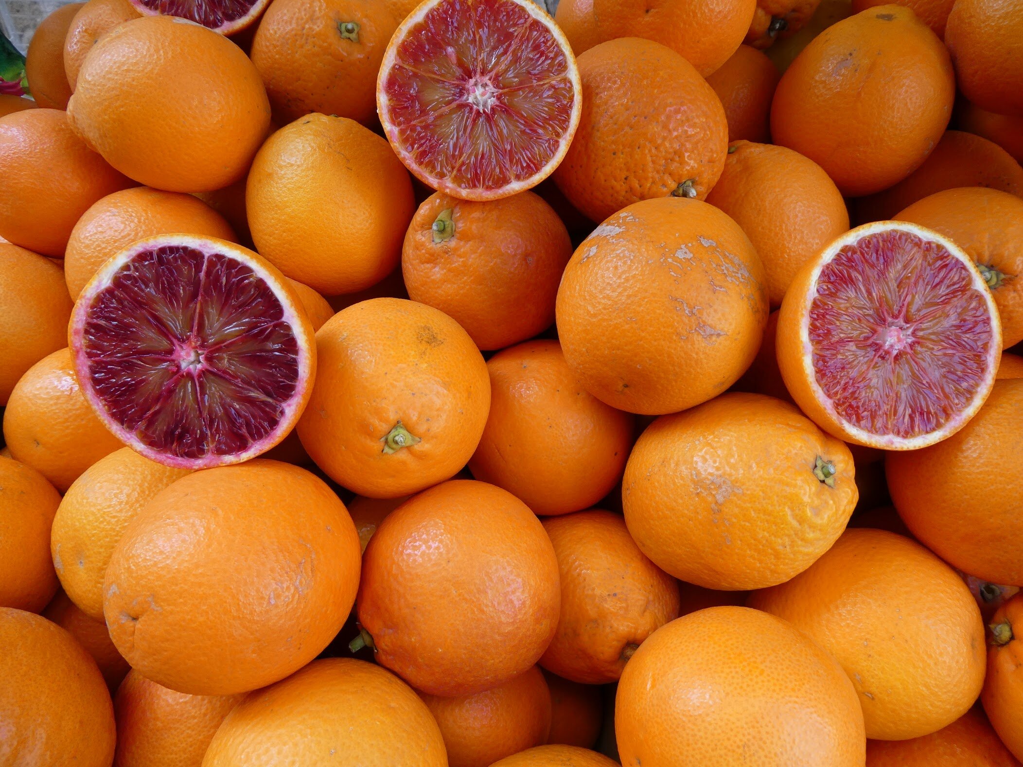 Pay in Full via Check/Cash $5,900: Arancini, Cannoli & Nero D'Avola (Price per person based on double occupancy)