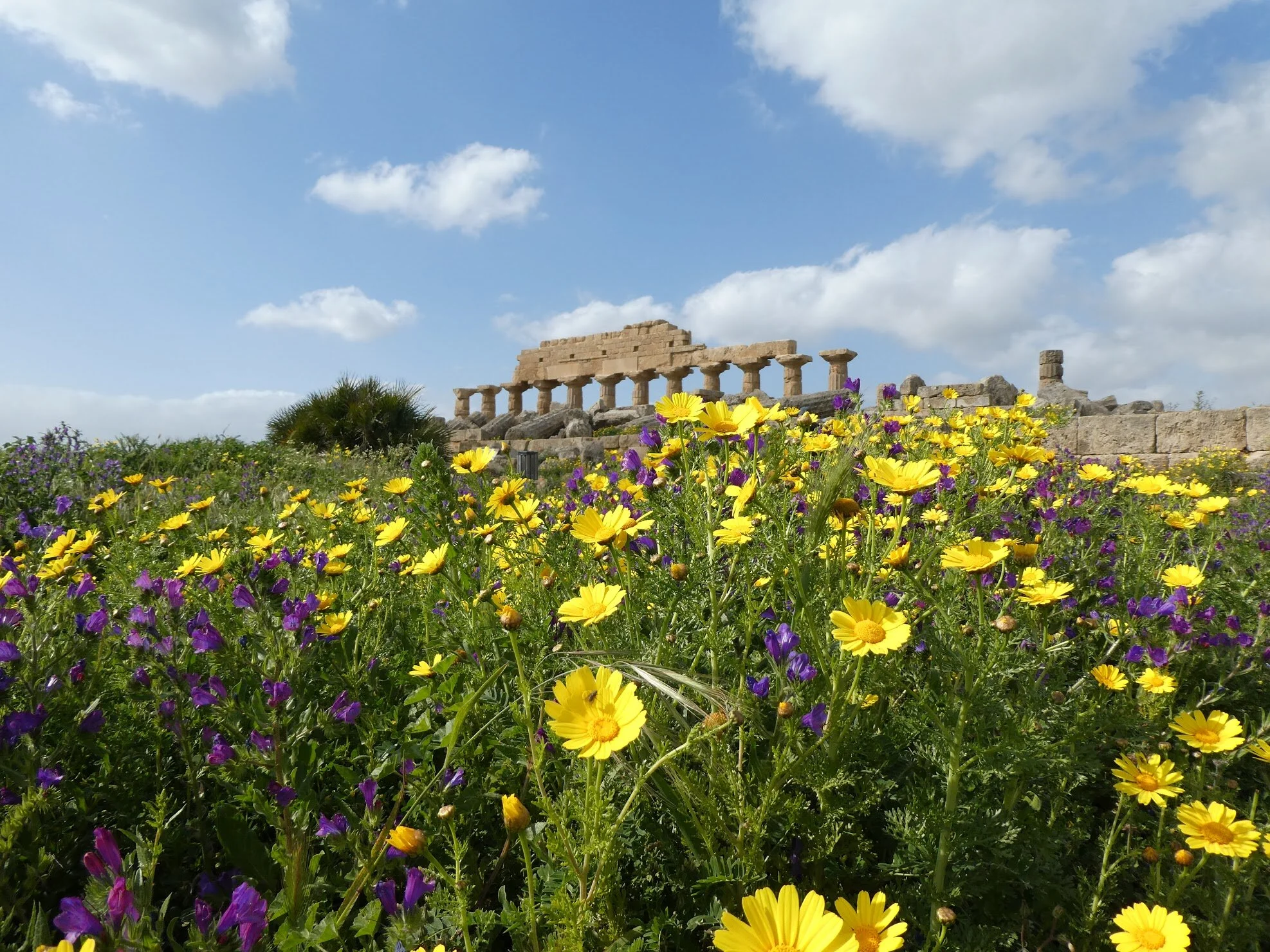 Single Occupancy Upgrade: Arancini, Cannoli &amp; Nero D'Avola