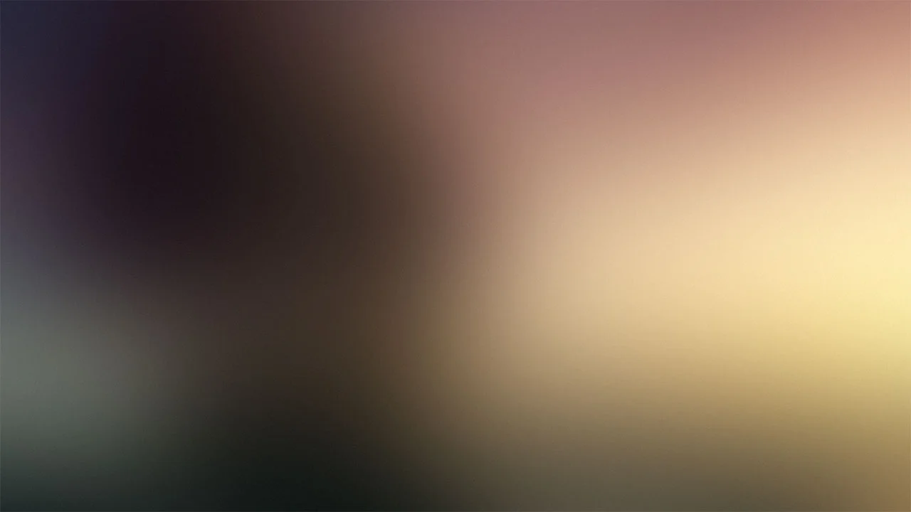 bg02.jpg