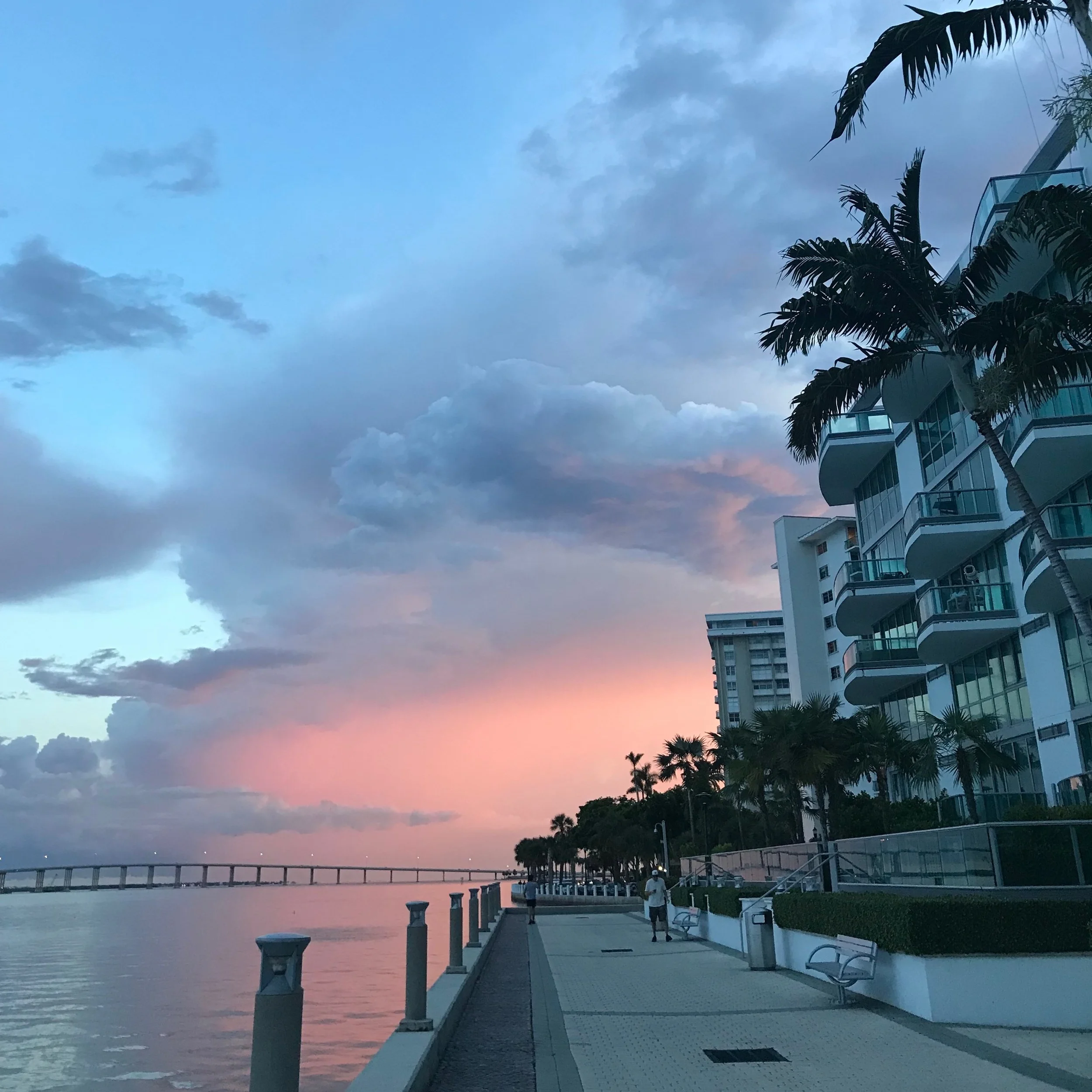 LAS 5 COSAS QUE ESTOY DISFRUTANDO MÁS DE VIVIR EN MIAMI