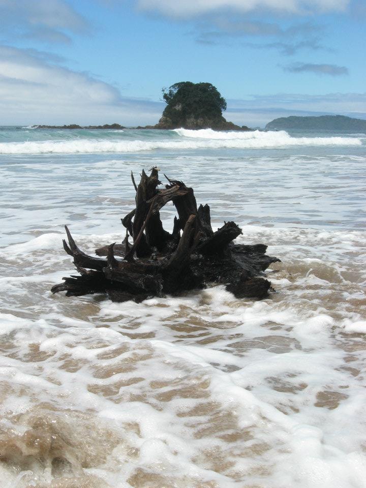 New Zealand the North Island: An oldie but a goodie