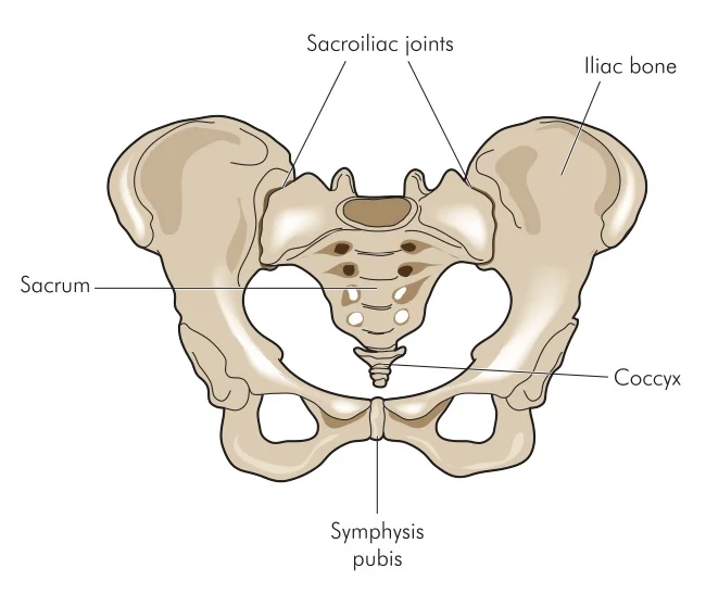 shutterstock_25356364.jpg