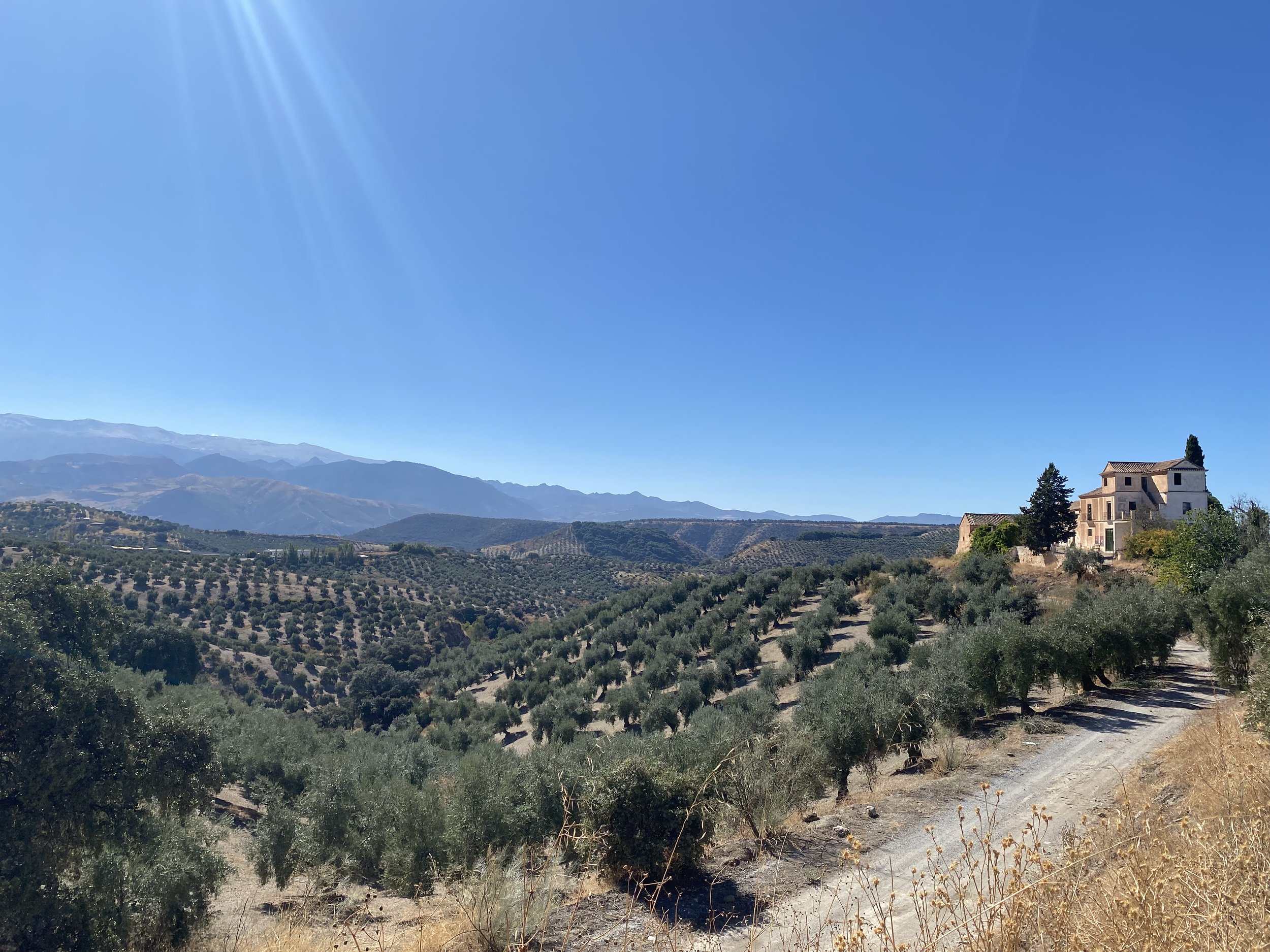 Day 1 - Granada to Benalua: Bikepacking the South of Spain