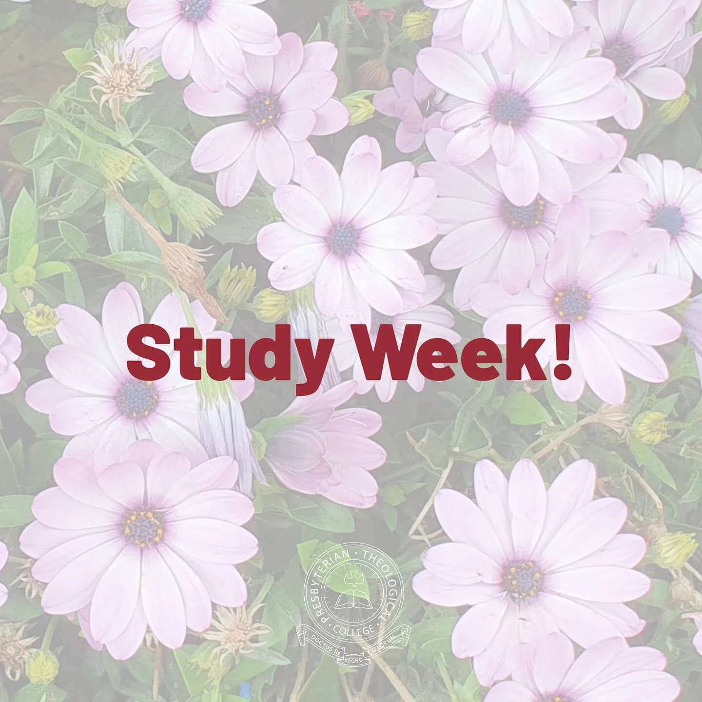 The semester has flown in lockdown and now it is Study Week before end of semester exams and assignments are due!
.
Please be praying for our students as they finish up a challenging year!
.
#prayforptcmelb #prayforptcstudents