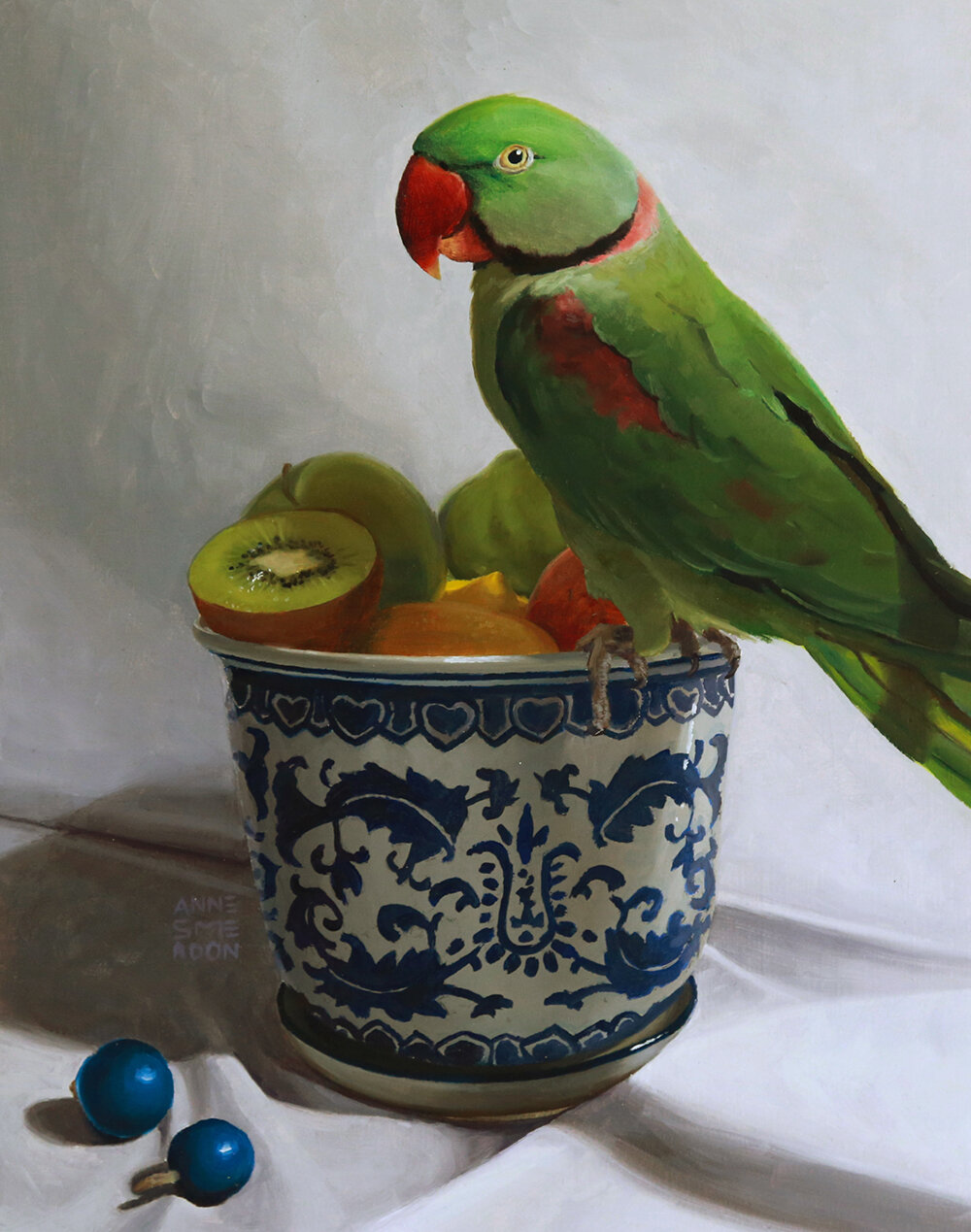 Aslan (adult male Alexandrine, Psittacula eupatria)