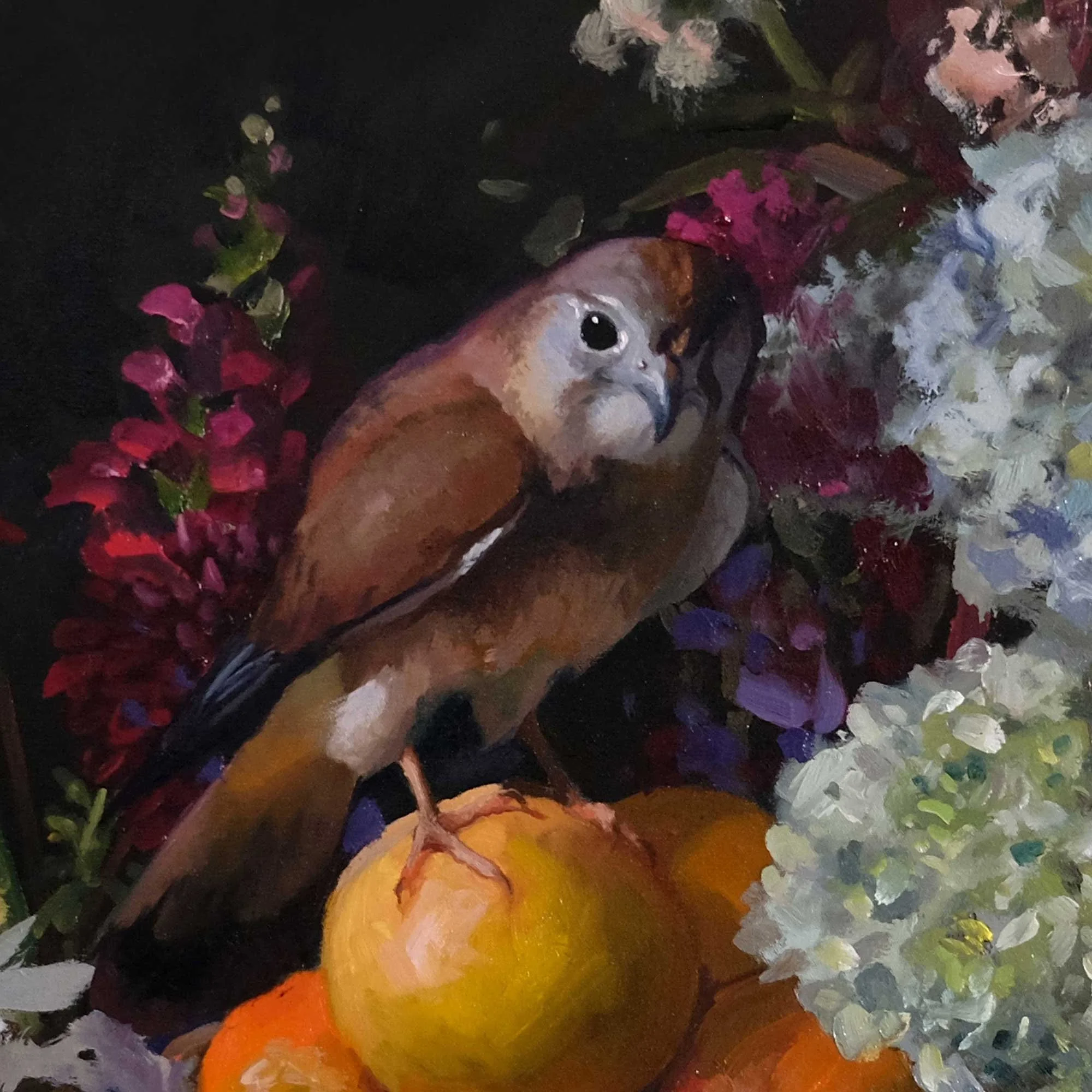 Billy-the-one-eyed-kestrel-with-hydrangeas-detail-1.jpg