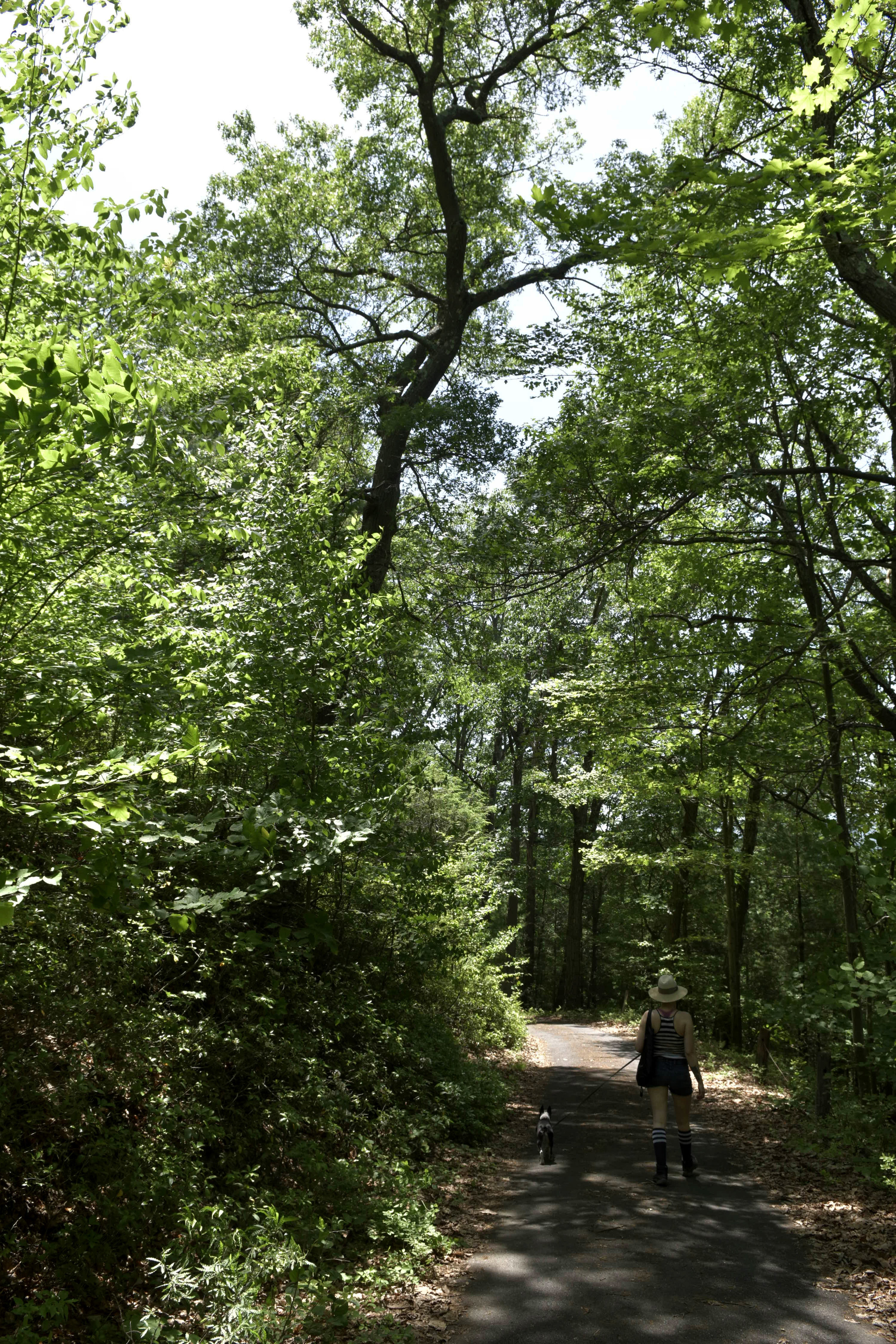 Enjoy nature while you work.