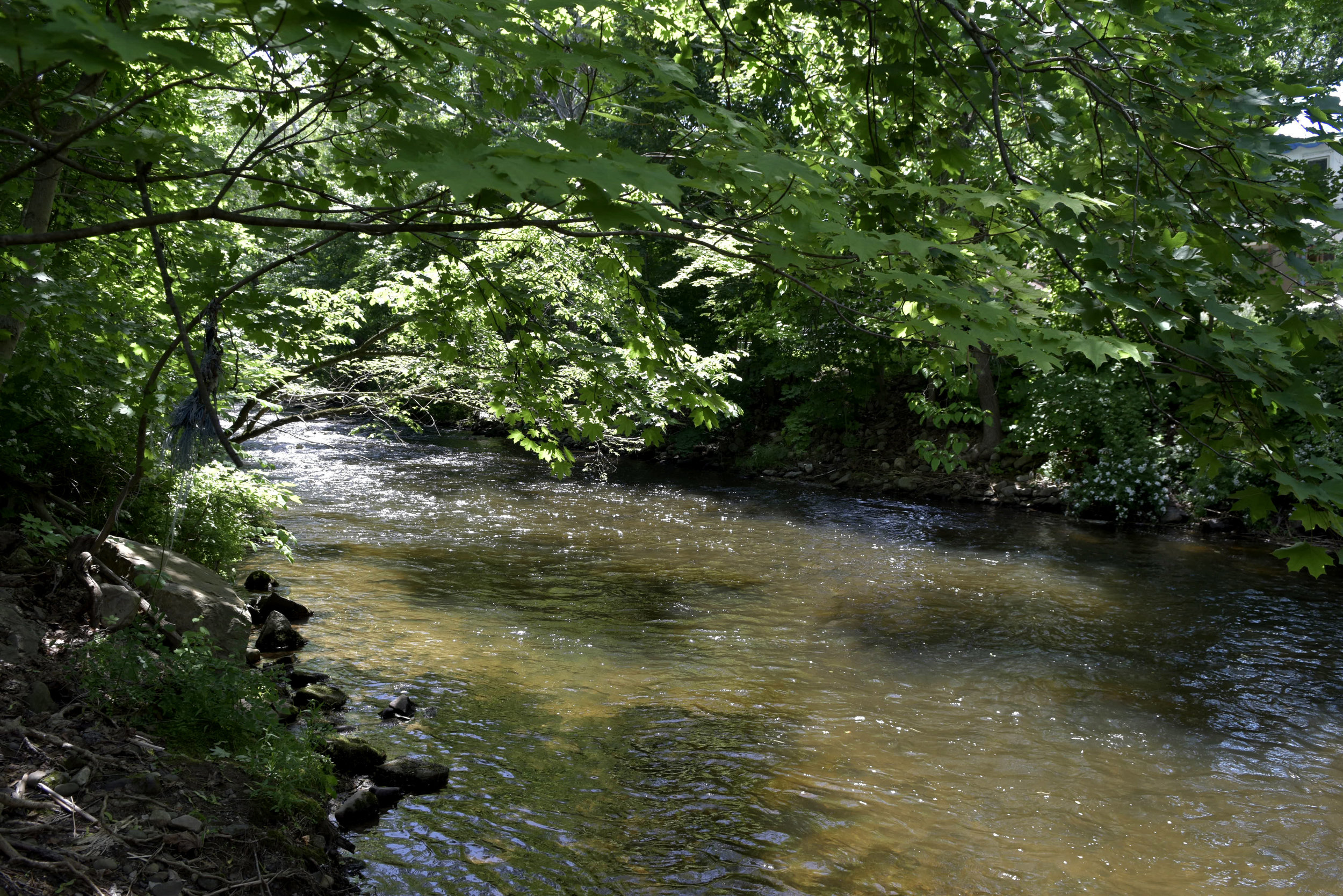There are creeks and rivers everywhere this is about 2 minutes from the house.