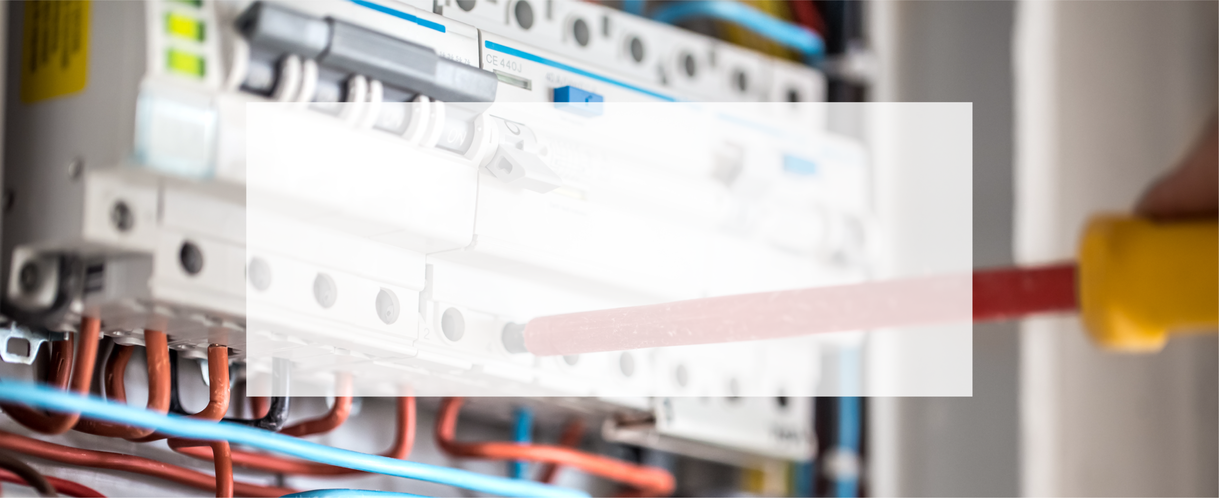 trade about banner image.png