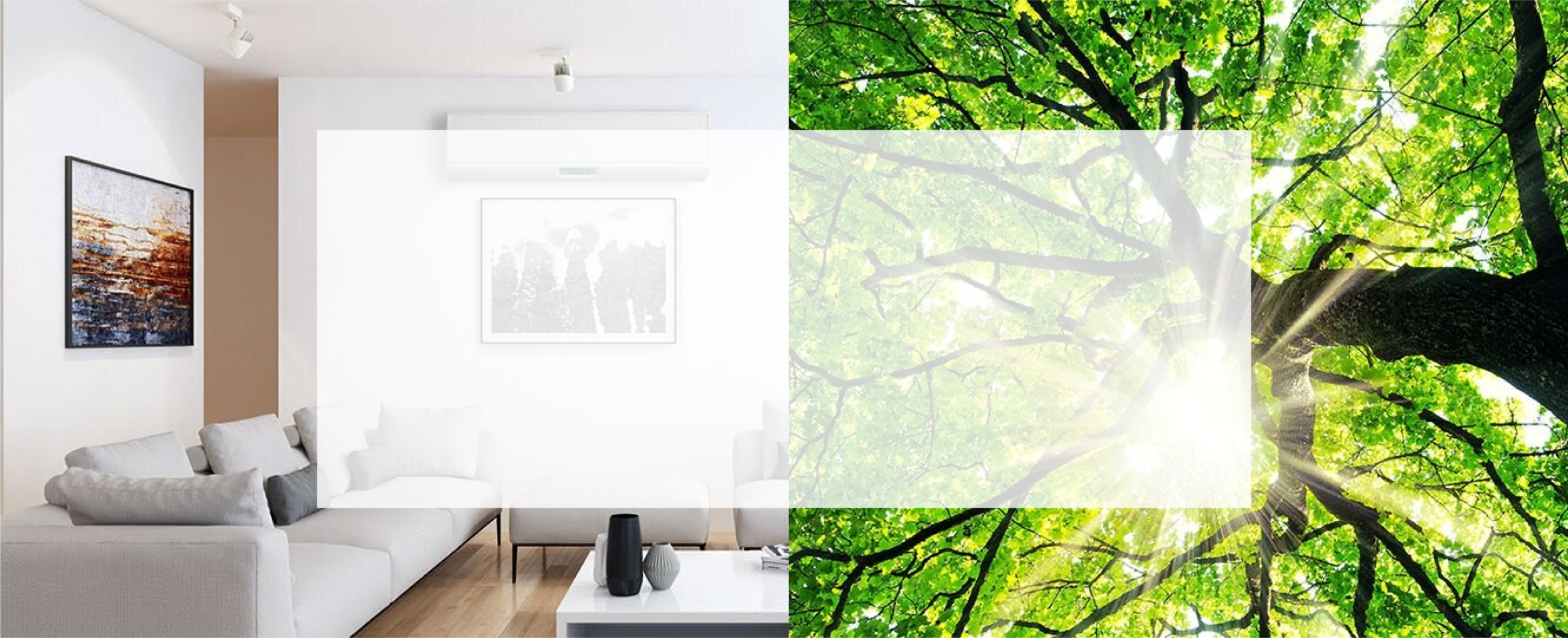 home page banner image.png