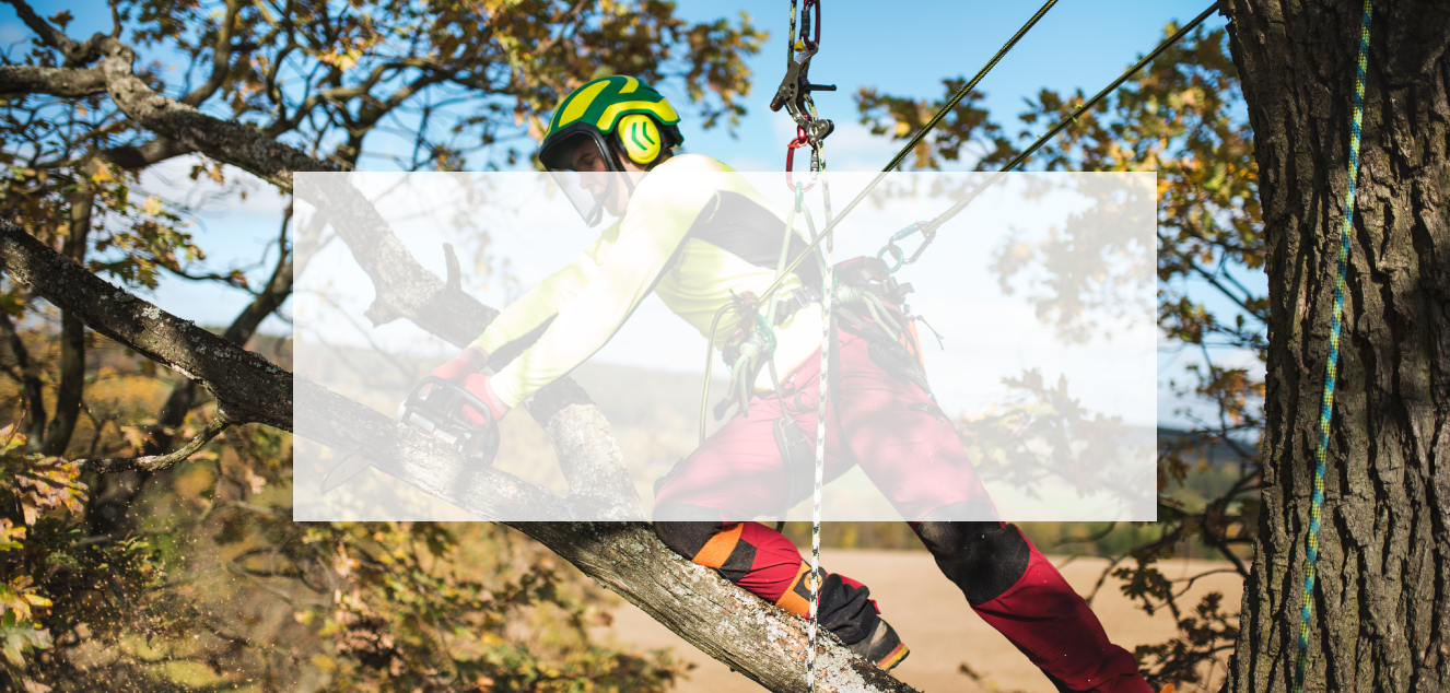 tree-services-banner.png