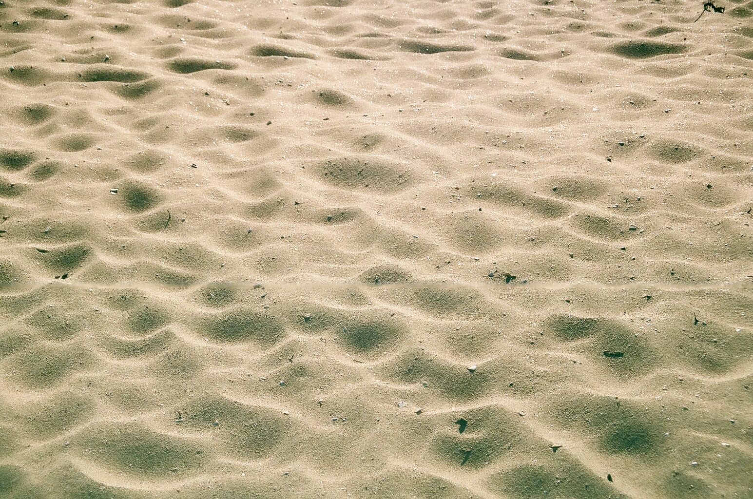 DBDFBF7D-4BC8-49DB-8AD4-D64FA9B0B1B7.jpeg