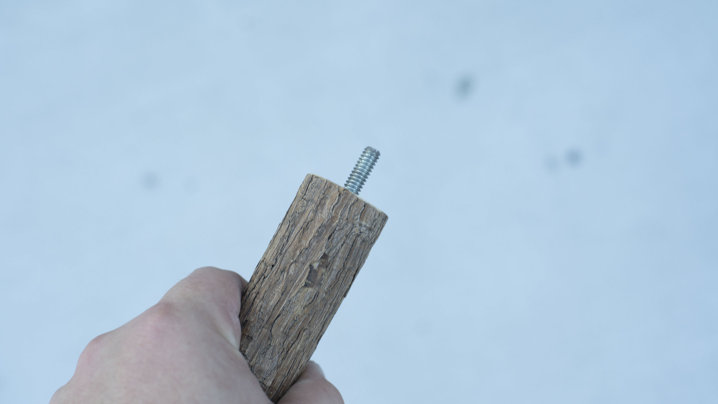 _DSC0900.jpg