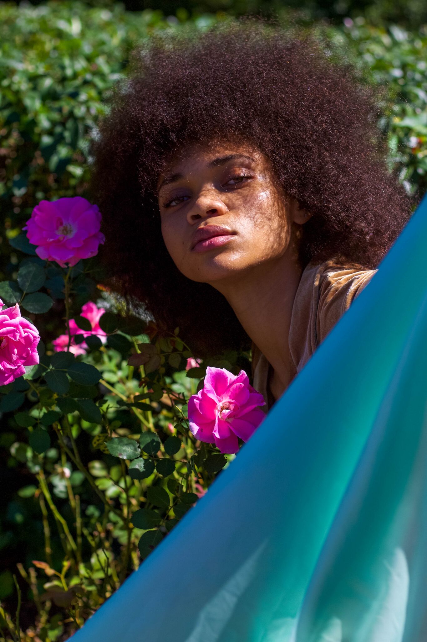 Credits: Photographer: Isabella Dias (@isabelladiasx) Model: Chavi St Hill (@chavisthill)