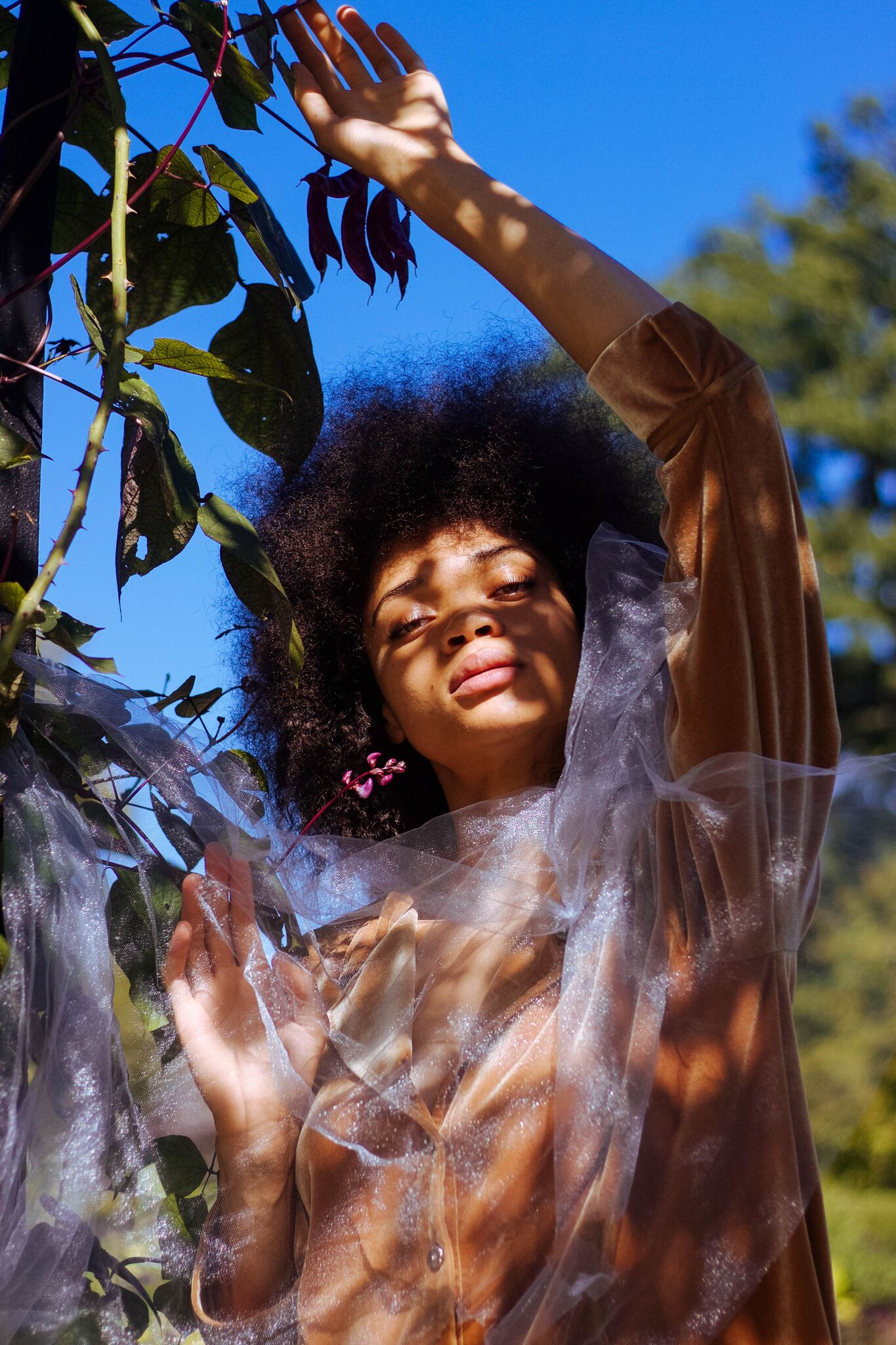 Credits: Photographer: Isabella Dias (@isabelladiasx) Model: Chavi St Hill (@chavisthill)