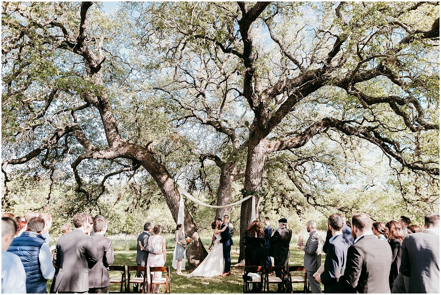  Gorgeous oak tree wedding ceremony 