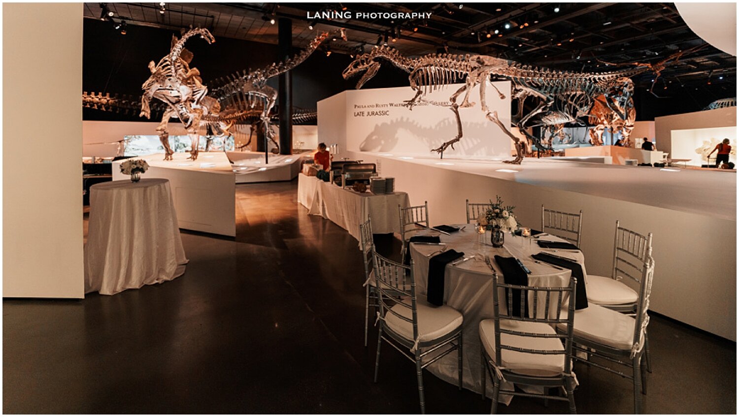 Houston Museum of Natural Science Wedding - Houston wedding planner_1102.jpg