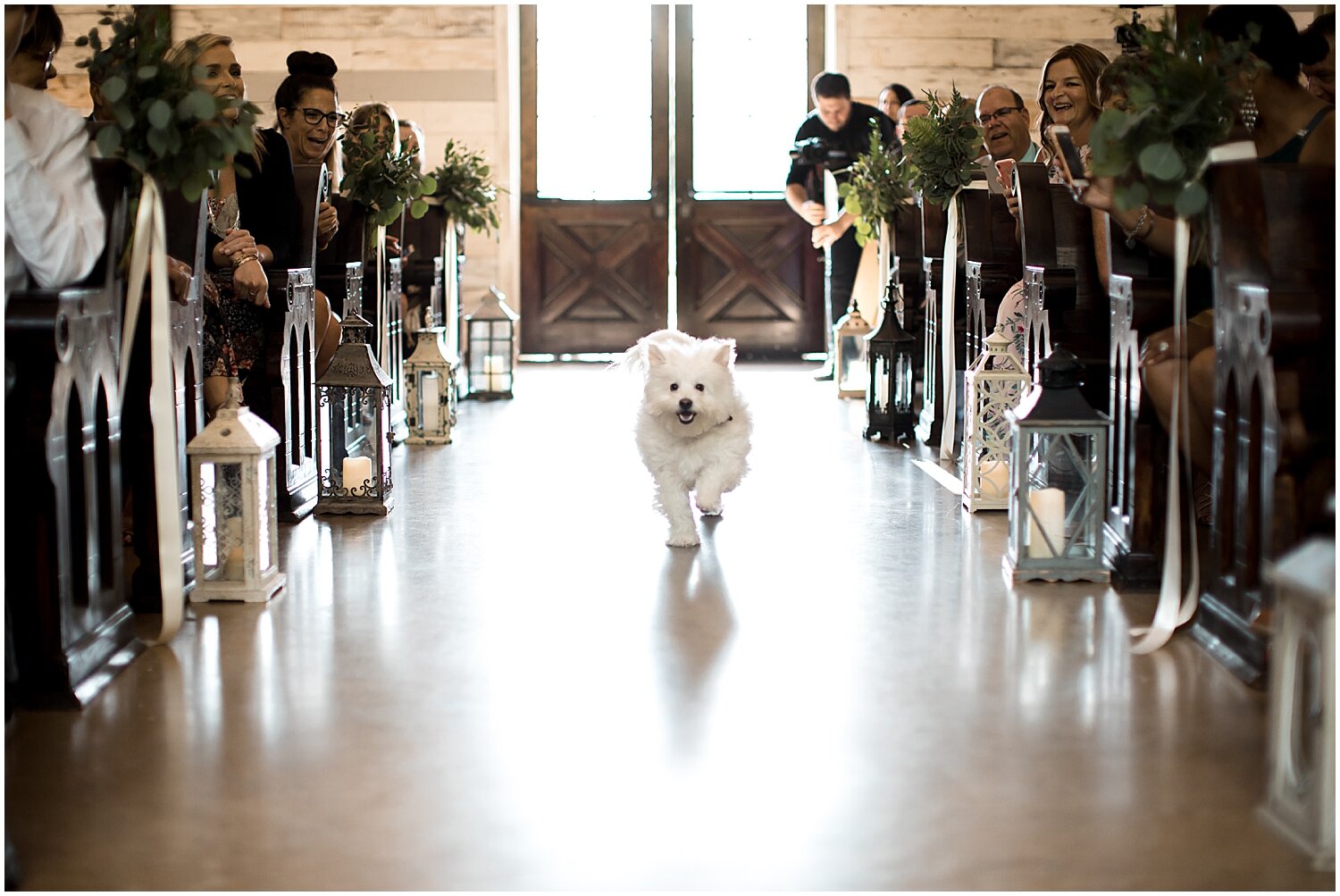  dog walking down the aisle 